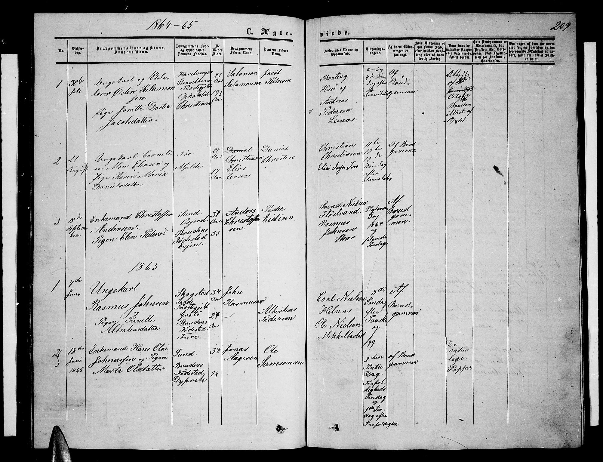 Ministerialprotokoller, klokkerbøker og fødselsregistre - Nordland, AV/SAT-A-1459/857/L0827: Parish register (copy) no. 857C02, 1852-1879, p. 209