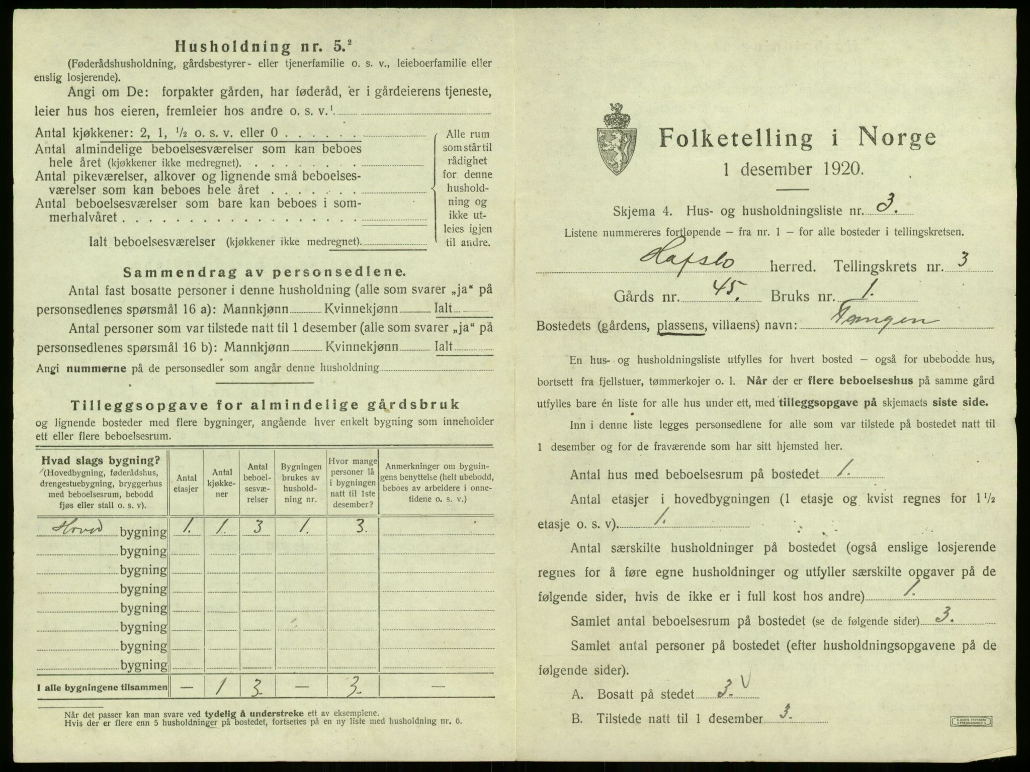 SAB, 1920 census for Hafslo, 1920, p. 204