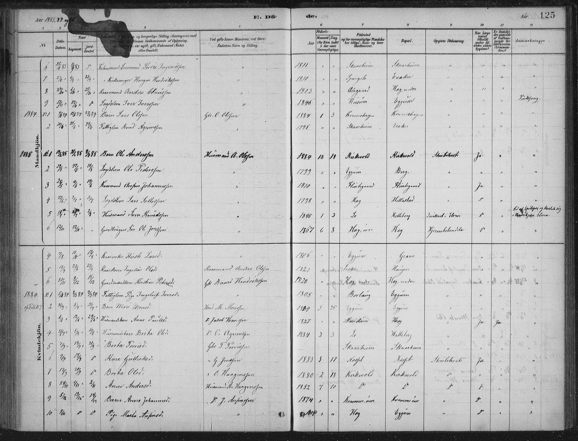 Lærdal sokneprestembete, SAB/A-81201: Parish register (official) no. C  1, 1878-1911, p. 125