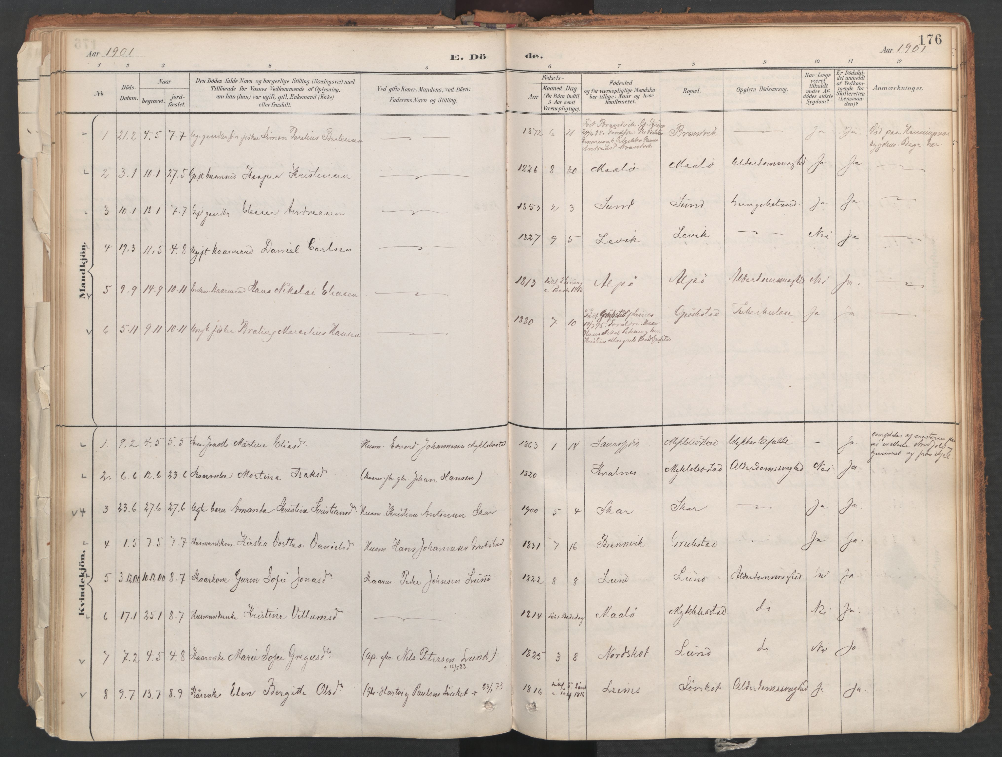 Ministerialprotokoller, klokkerbøker og fødselsregistre - Nordland, AV/SAT-A-1459/857/L0822: Parish register (official) no. 857A02, 1890-1917, p. 176