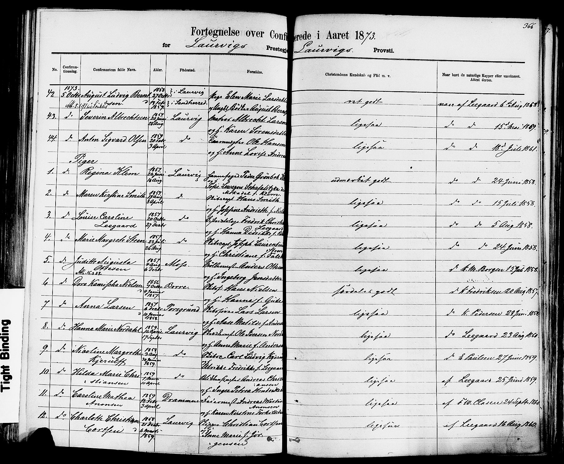 Larvik kirkebøker, AV/SAKO-A-352/F/Fa/L0006: Parish register (official) no. I 6, 1871-1883, p. 366