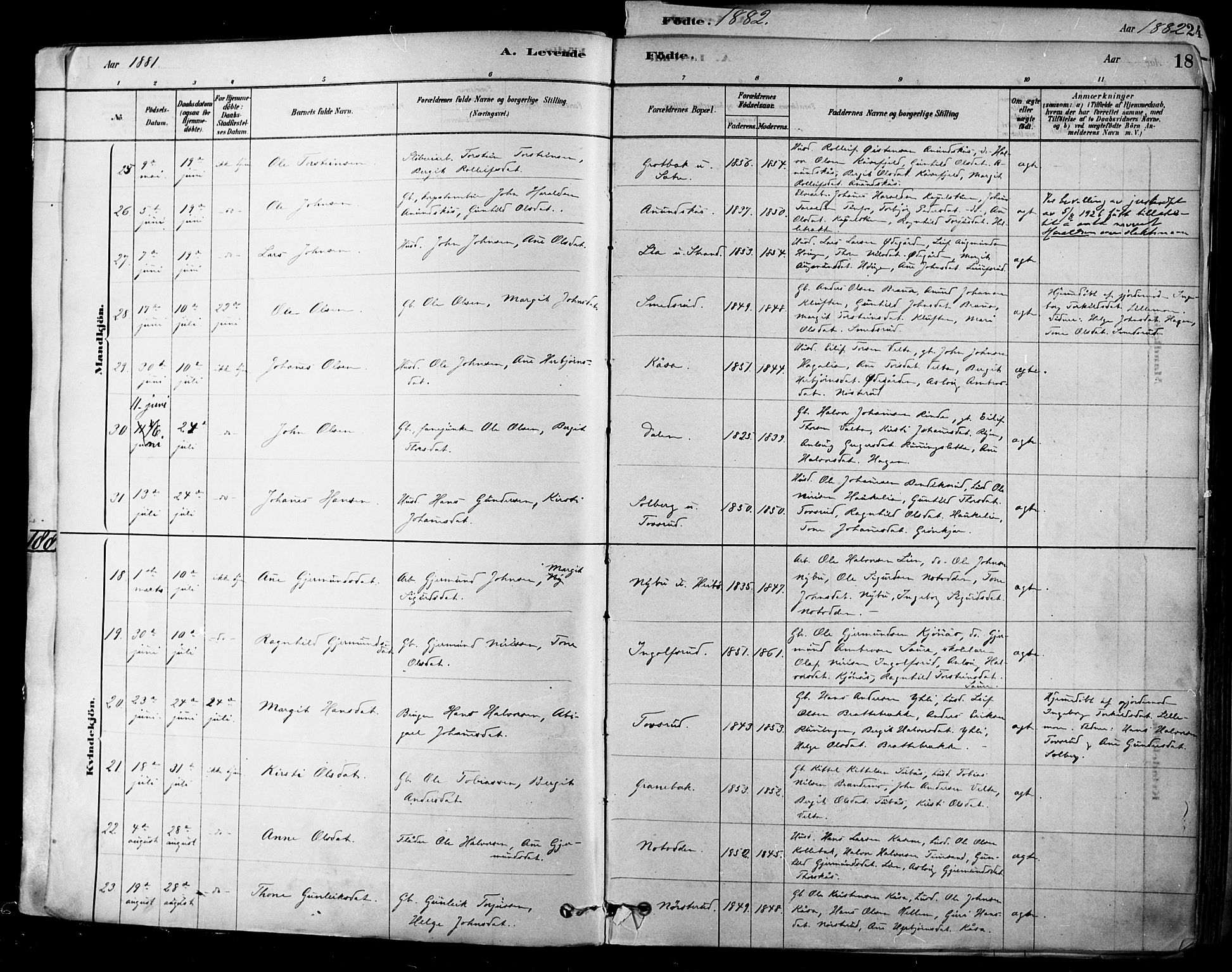 Heddal kirkebøker, AV/SAKO-A-268/F/Fa/L0008: Parish register (official) no. I 8, 1878-1903, p. 18