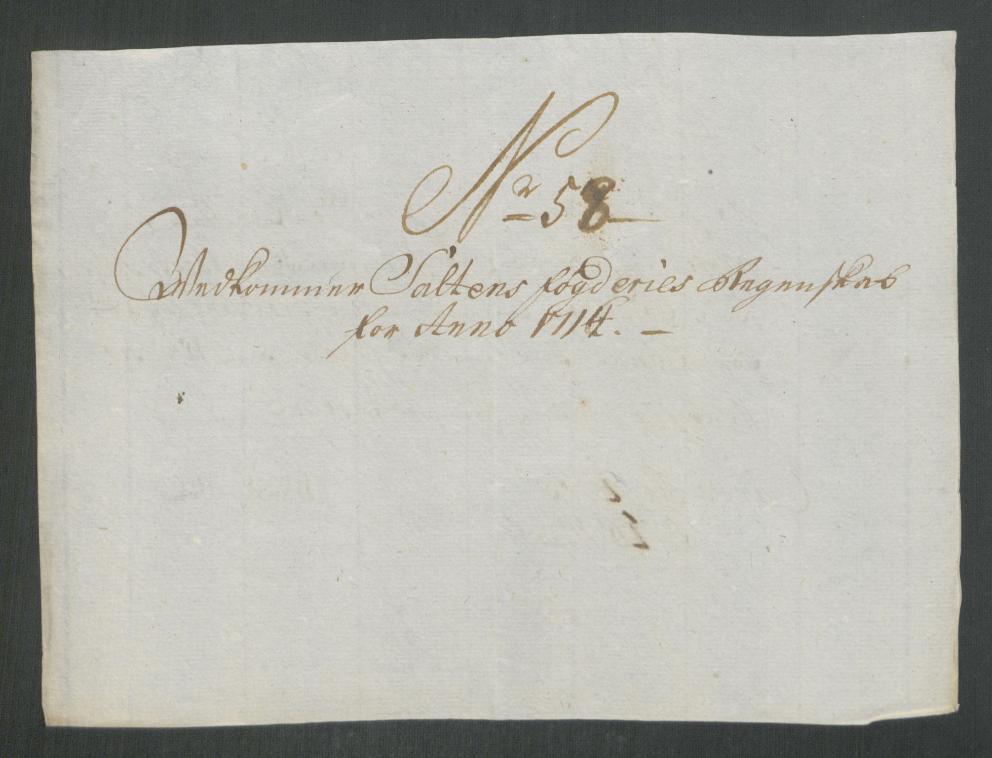 Rentekammeret inntil 1814, Reviderte regnskaper, Fogderegnskap, AV/RA-EA-4092/R66/L4584: Fogderegnskap Salten, 1714, p. 326