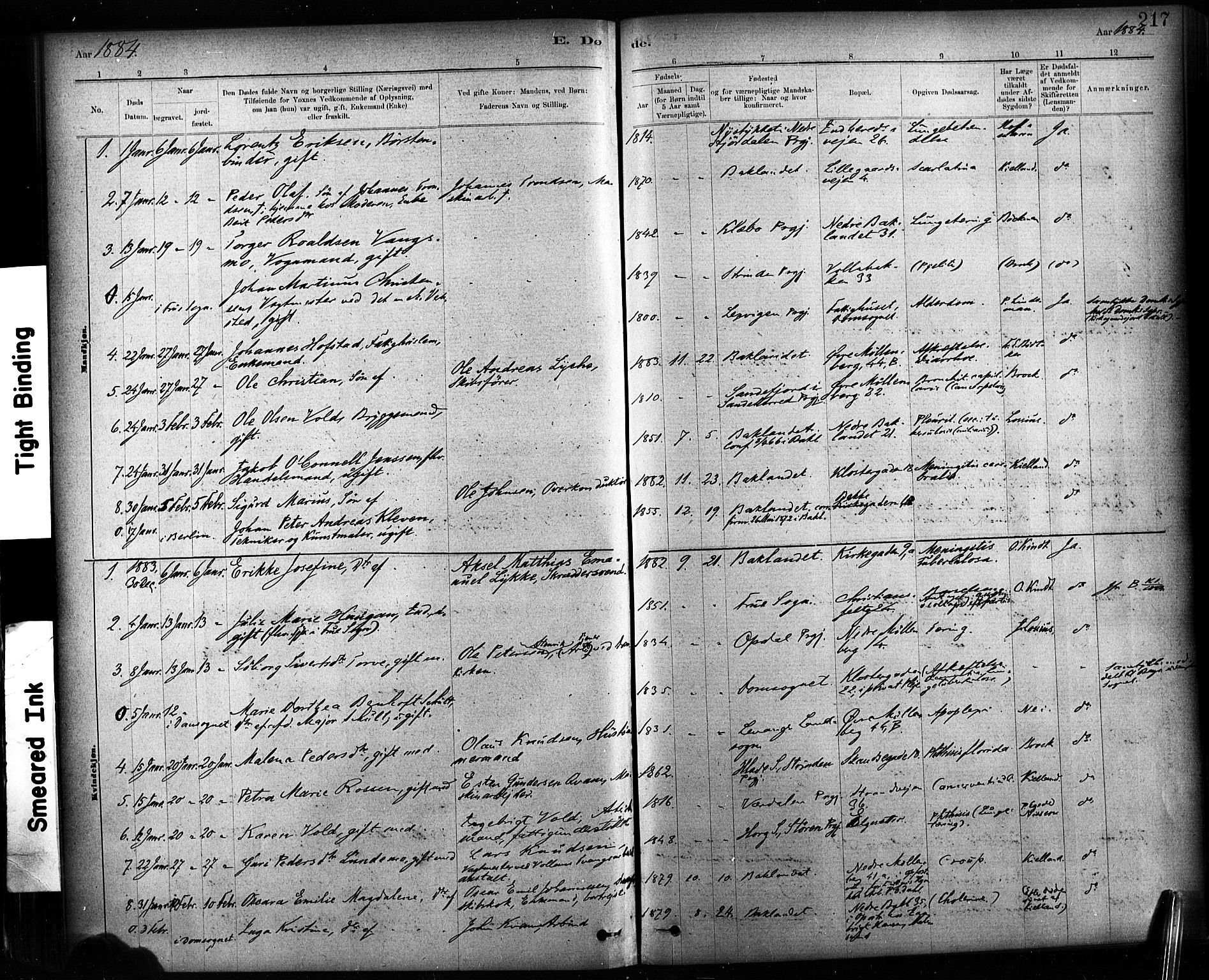 Ministerialprotokoller, klokkerbøker og fødselsregistre - Sør-Trøndelag, SAT/A-1456/604/L0189: Parish register (official) no. 604A10, 1878-1892, p. 217