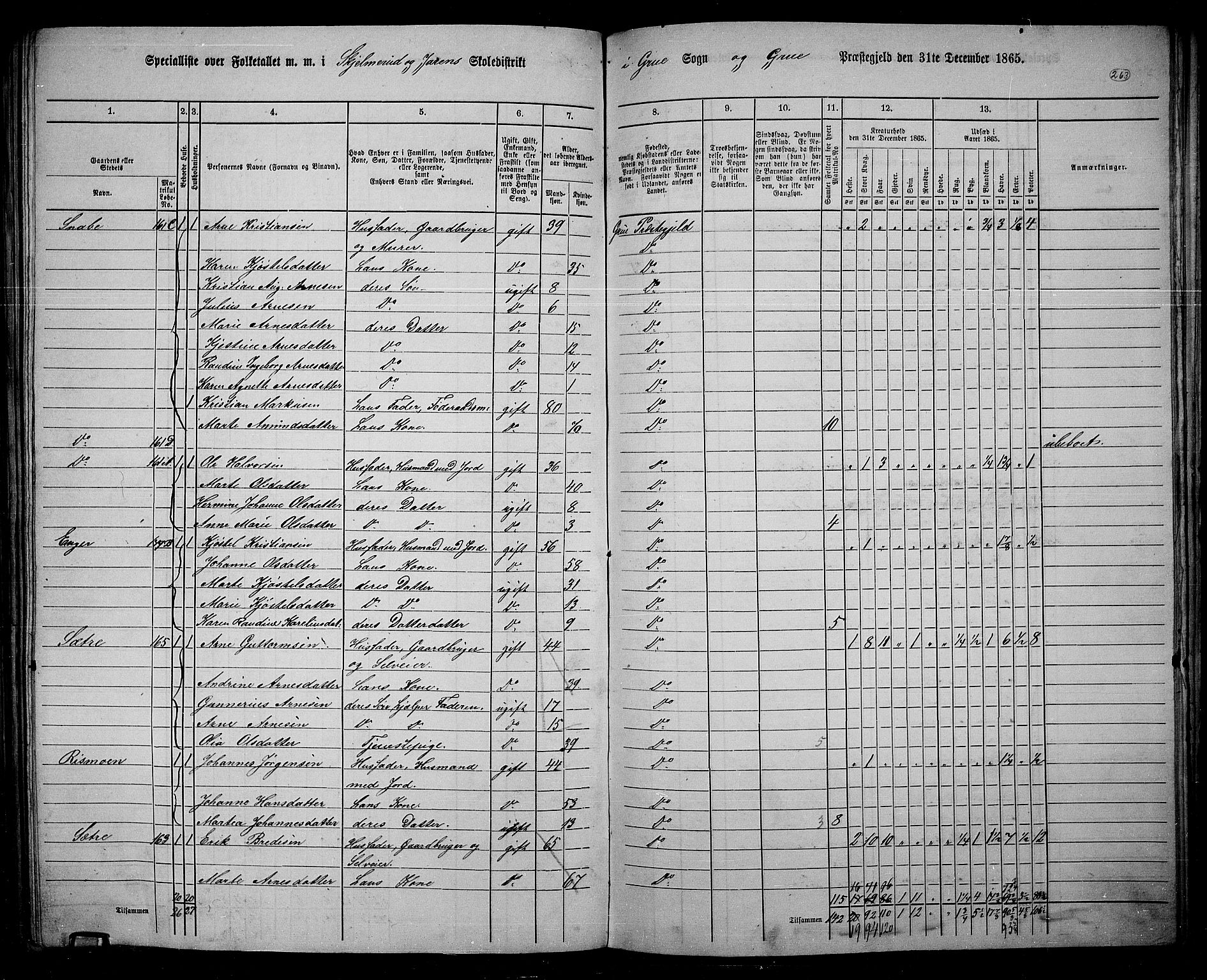 RA, 1865 census for Grue, 1865, p. 232