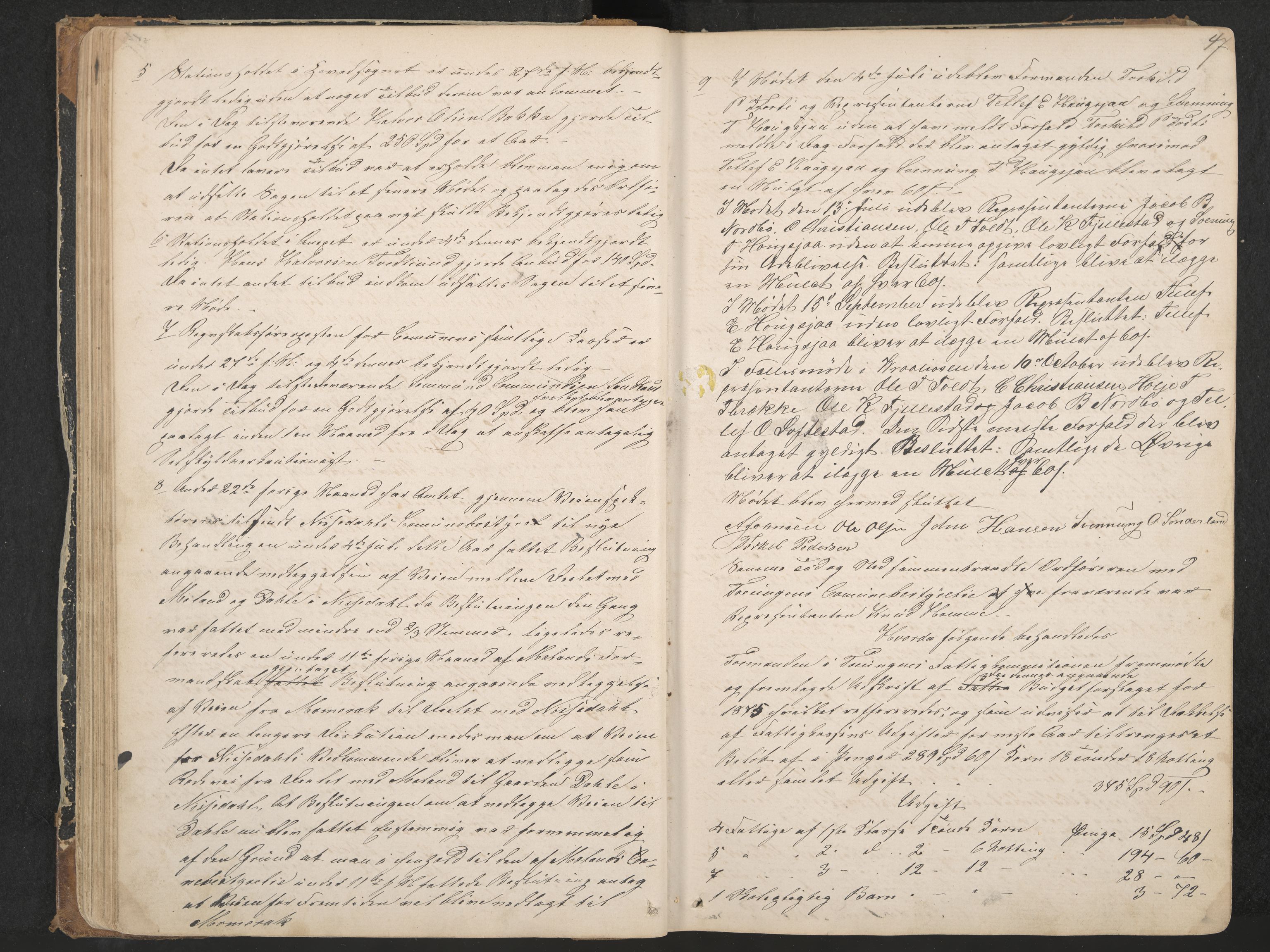 Nissedal formannskap og sentraladministrasjon, IKAK/0830021-1/A/L0002: Møtebok, 1870-1892, p. 47