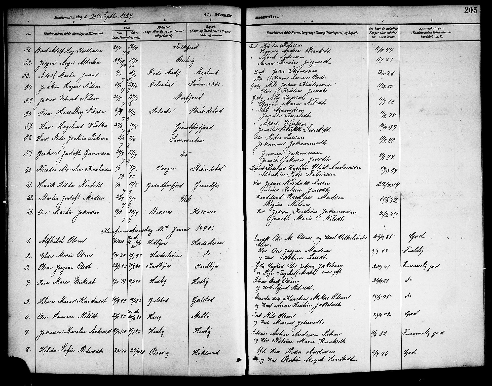 Ministerialprotokoller, klokkerbøker og fødselsregistre - Nordland, SAT/A-1459/888/L1268: Parish register (copy) no. 888C06, 1891-1908, p. 205