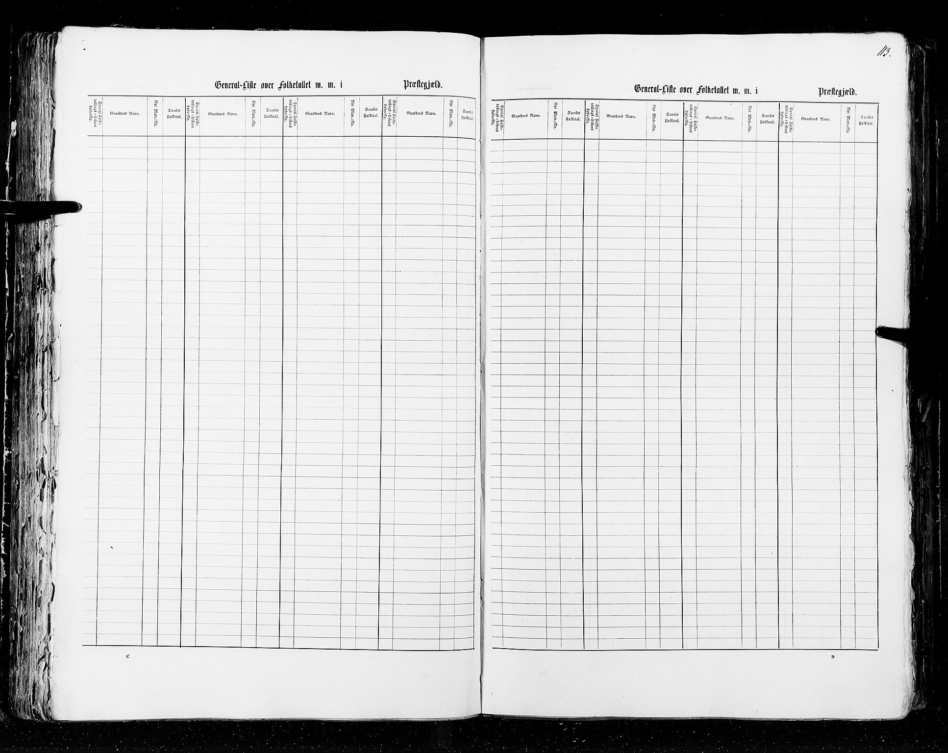 RA, Census 1855, vol. 2: Kristians amt, Buskerud amt og Jarlsberg og Larvik amt, 1855, p. 113