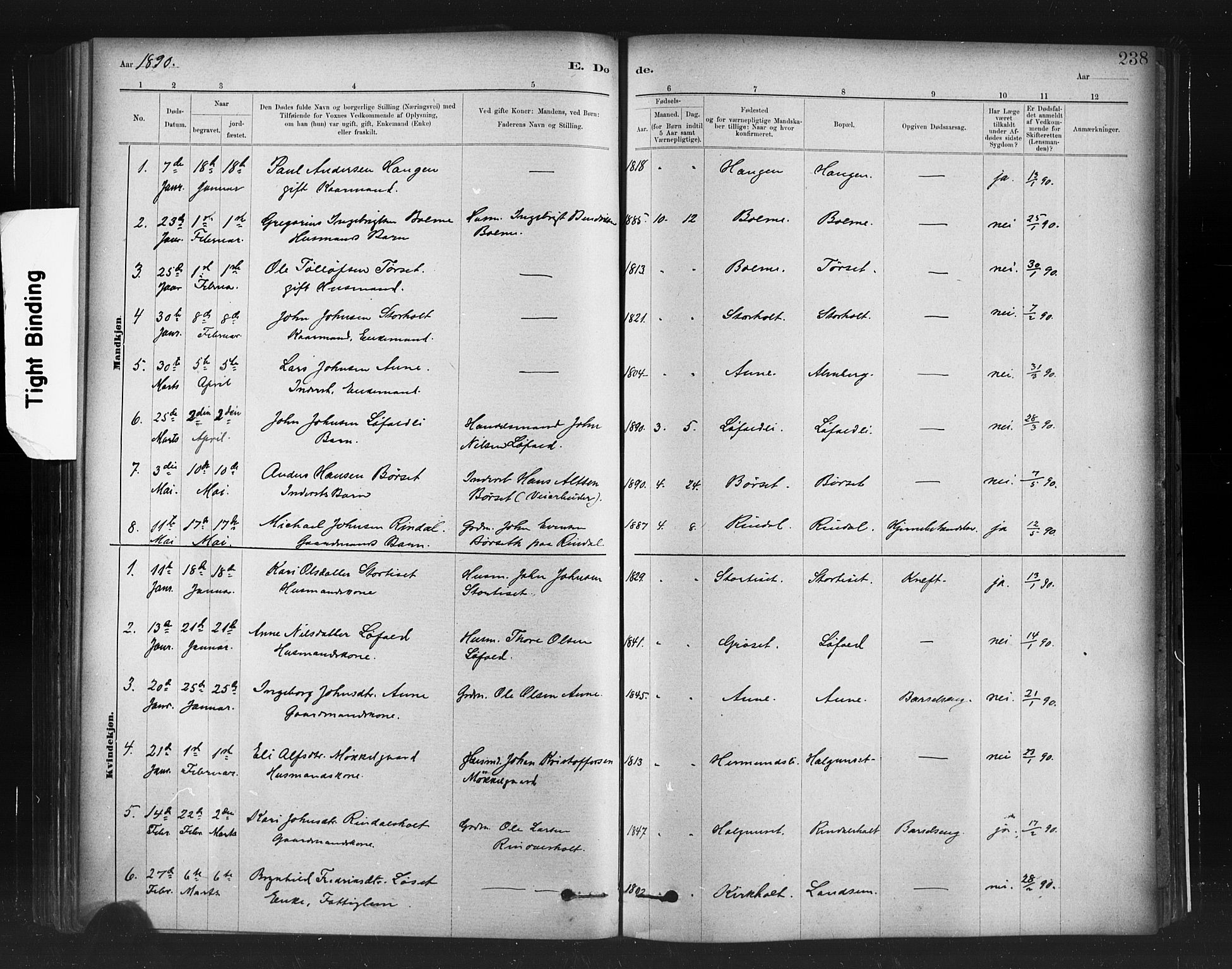 Ministerialprotokoller, klokkerbøker og fødselsregistre - Møre og Romsdal, AV/SAT-A-1454/598/L1069: Parish register (official) no. 598A03, 1882-1895, p. 238