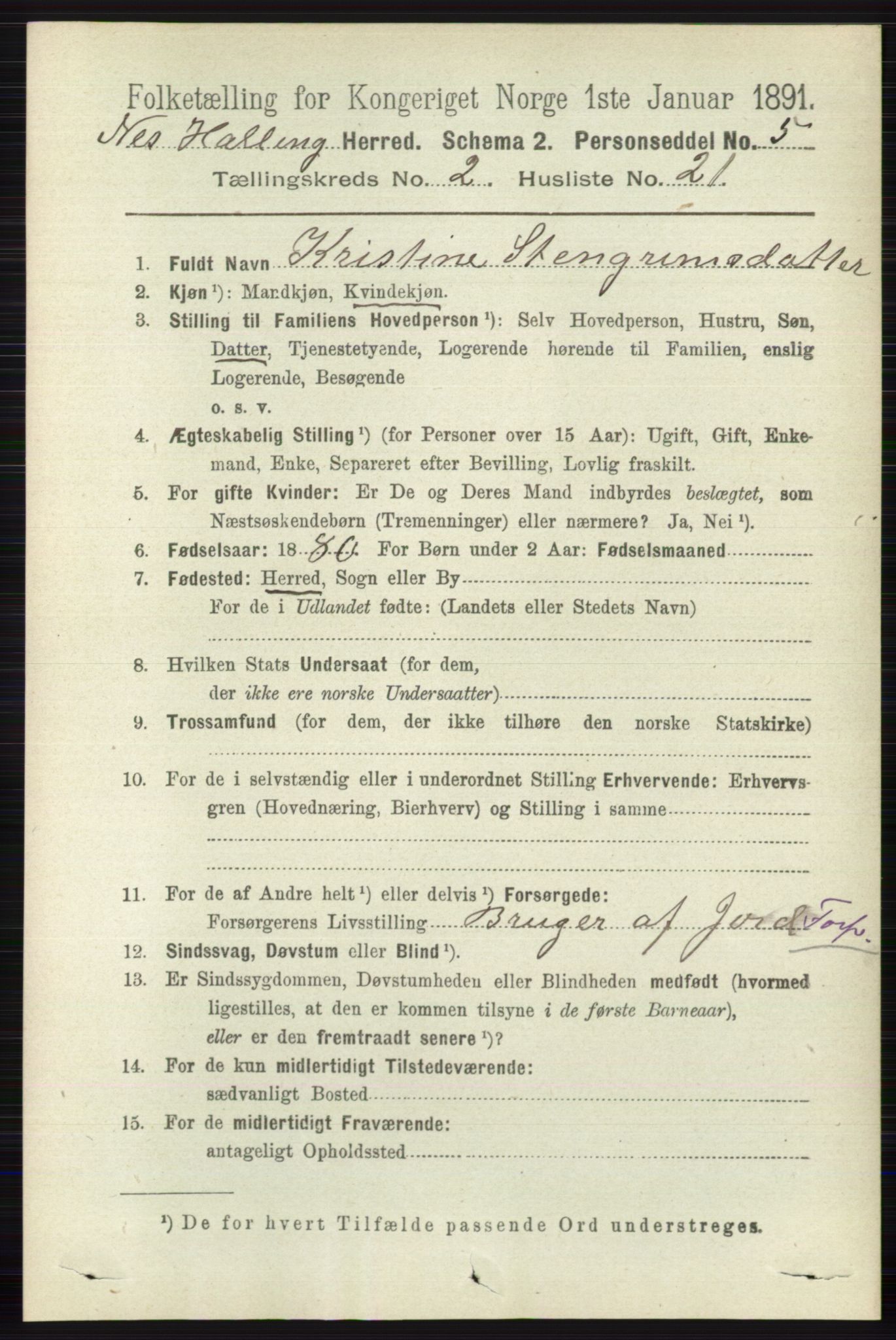 RA, 1891 census for 0616 Nes, 1891, p. 1098