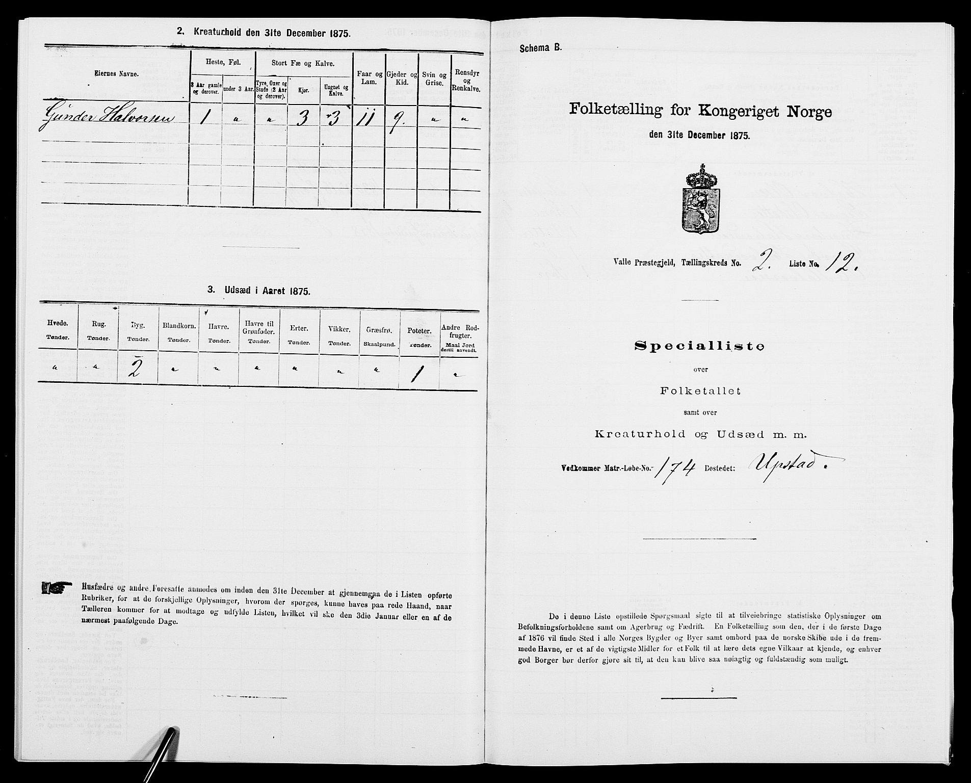 SAK, 1875 census for 0940P Valle, 1875, p. 173