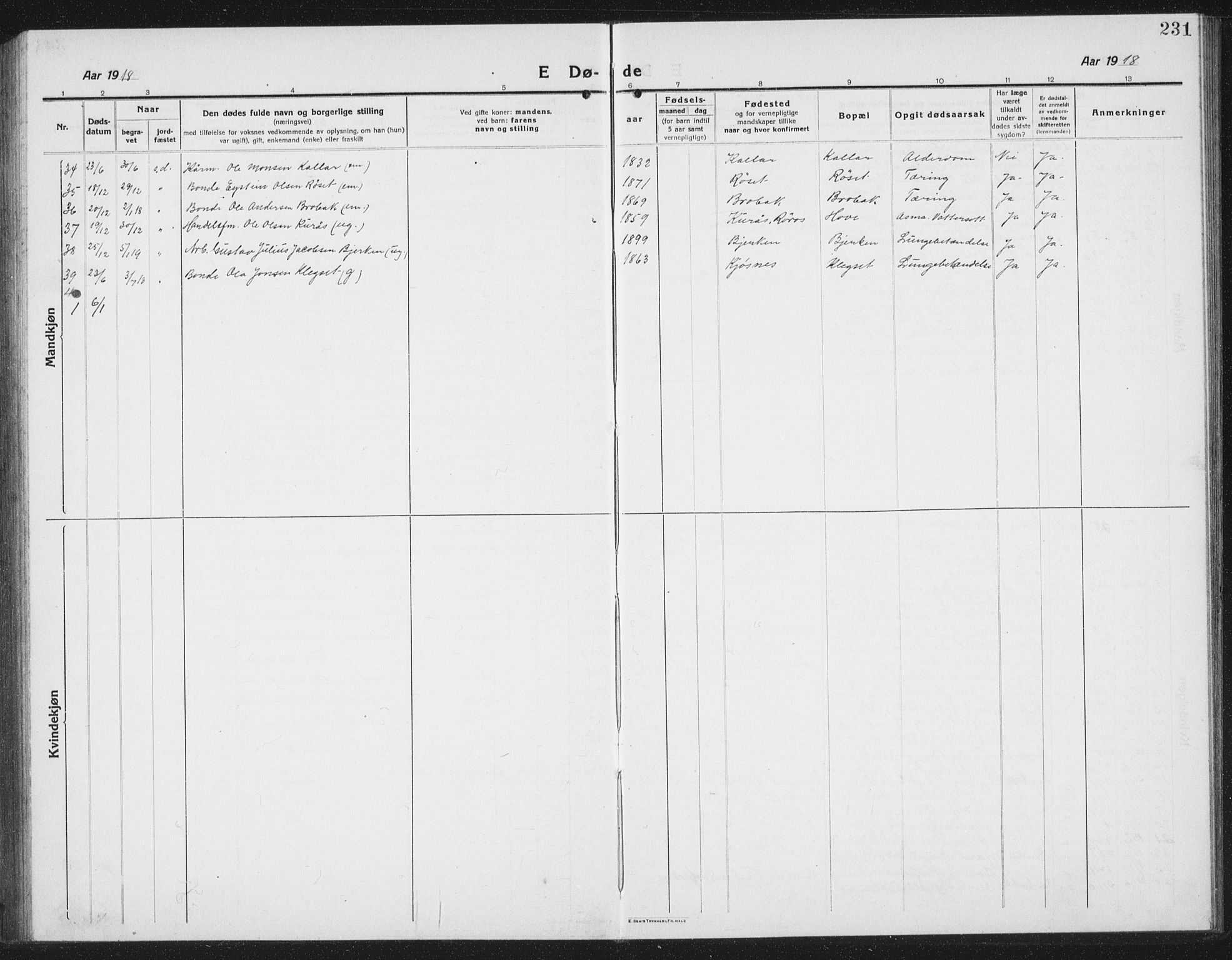 Ministerialprotokoller, klokkerbøker og fødselsregistre - Sør-Trøndelag, SAT/A-1456/695/L1158: Parish register (copy) no. 695C09, 1913-1940, p. 231