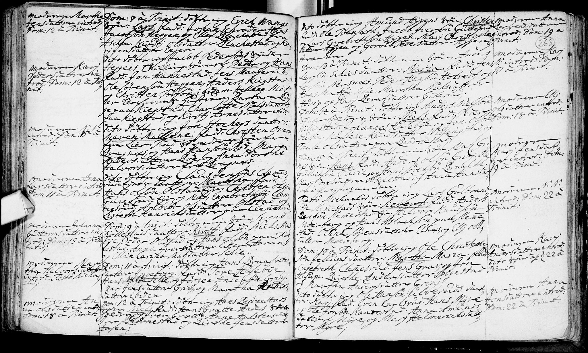 Røyken kirkebøker, SAKO/A-241/F/Fa/L0002: Parish register (official) no. 2, 1731-1782, p. 263