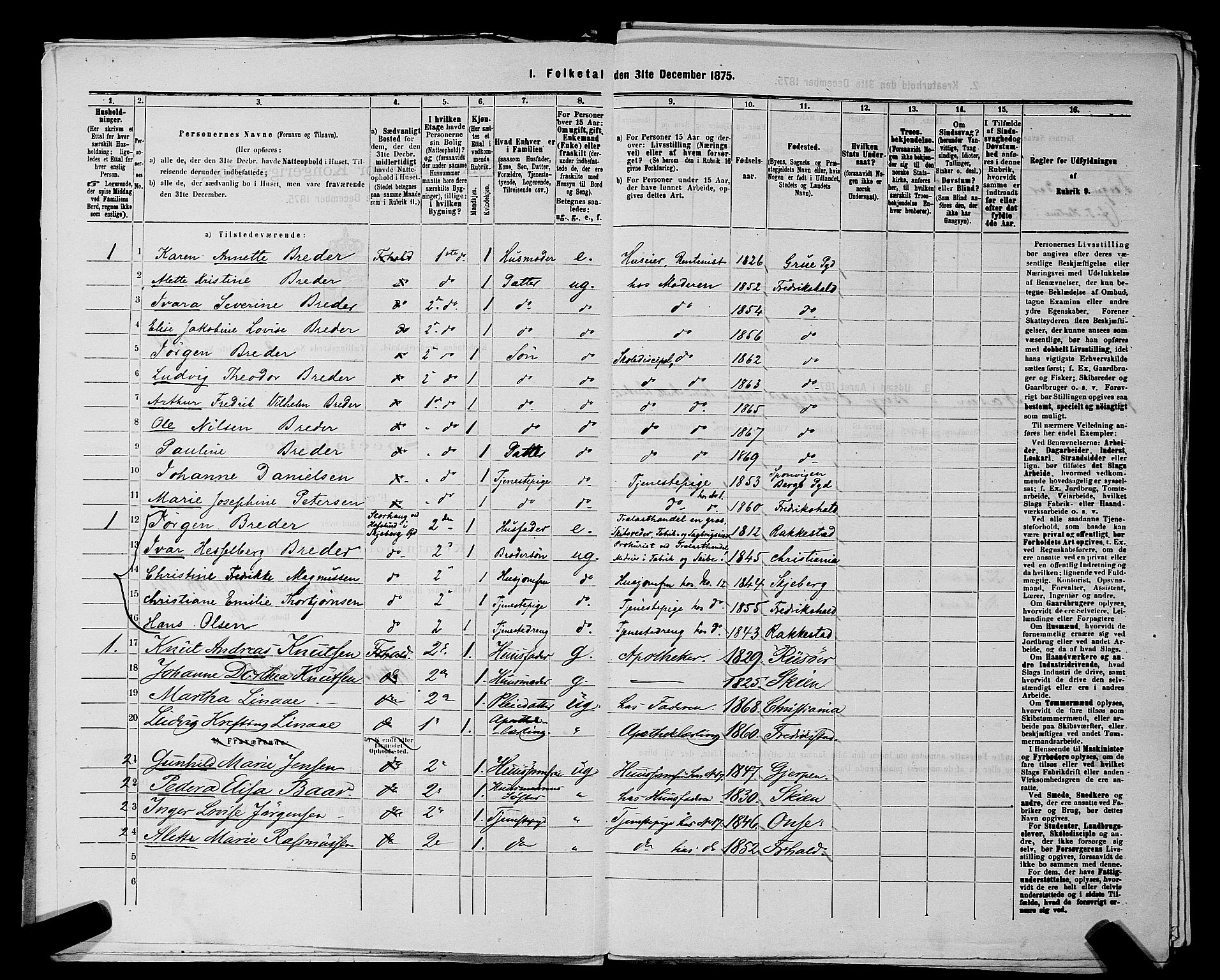 RA, 1875 census for 0101P Fredrikshald, 1875, p. 494