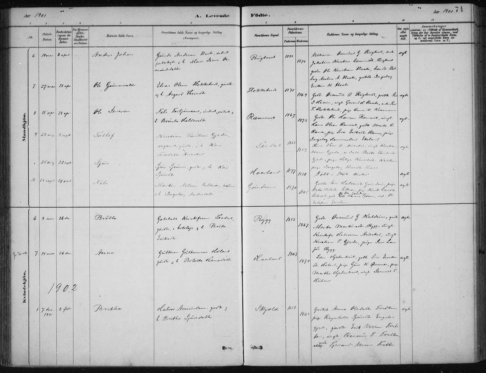 Etne sokneprestembete, SAB/A-75001/H/Haa: Parish register (official) no. D  1, 1879-1919, p. 74