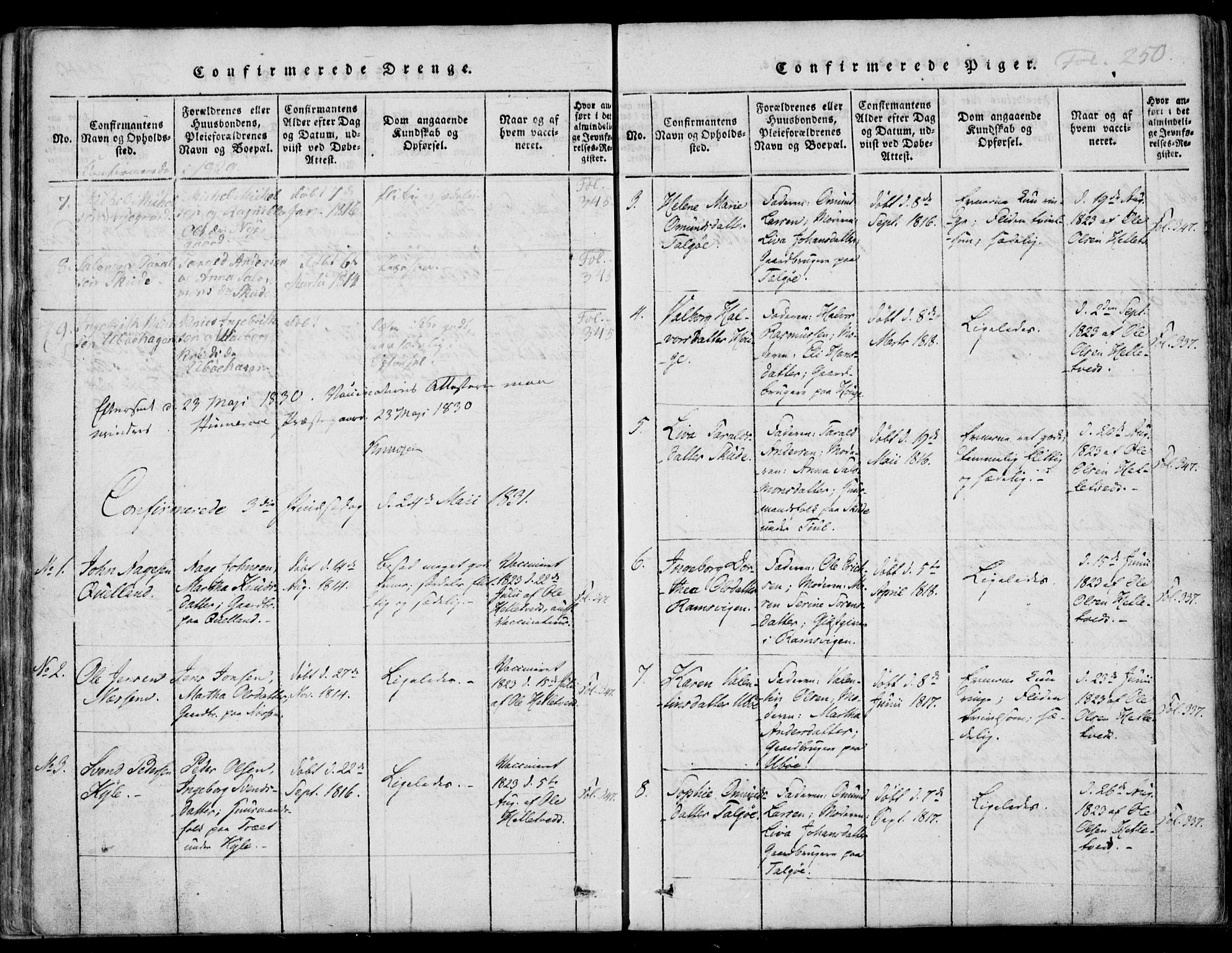 Nedstrand sokneprestkontor, AV/SAST-A-101841/01/IV: Parish register (official) no. A 7, 1816-1870, p. 250