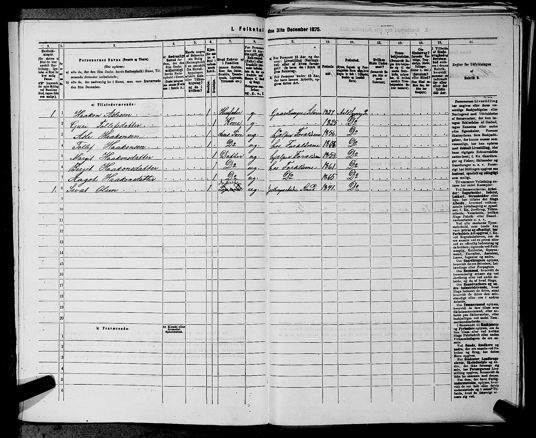 SAKO, 1875 census for 0619P Ål, 1875, p. 1101
