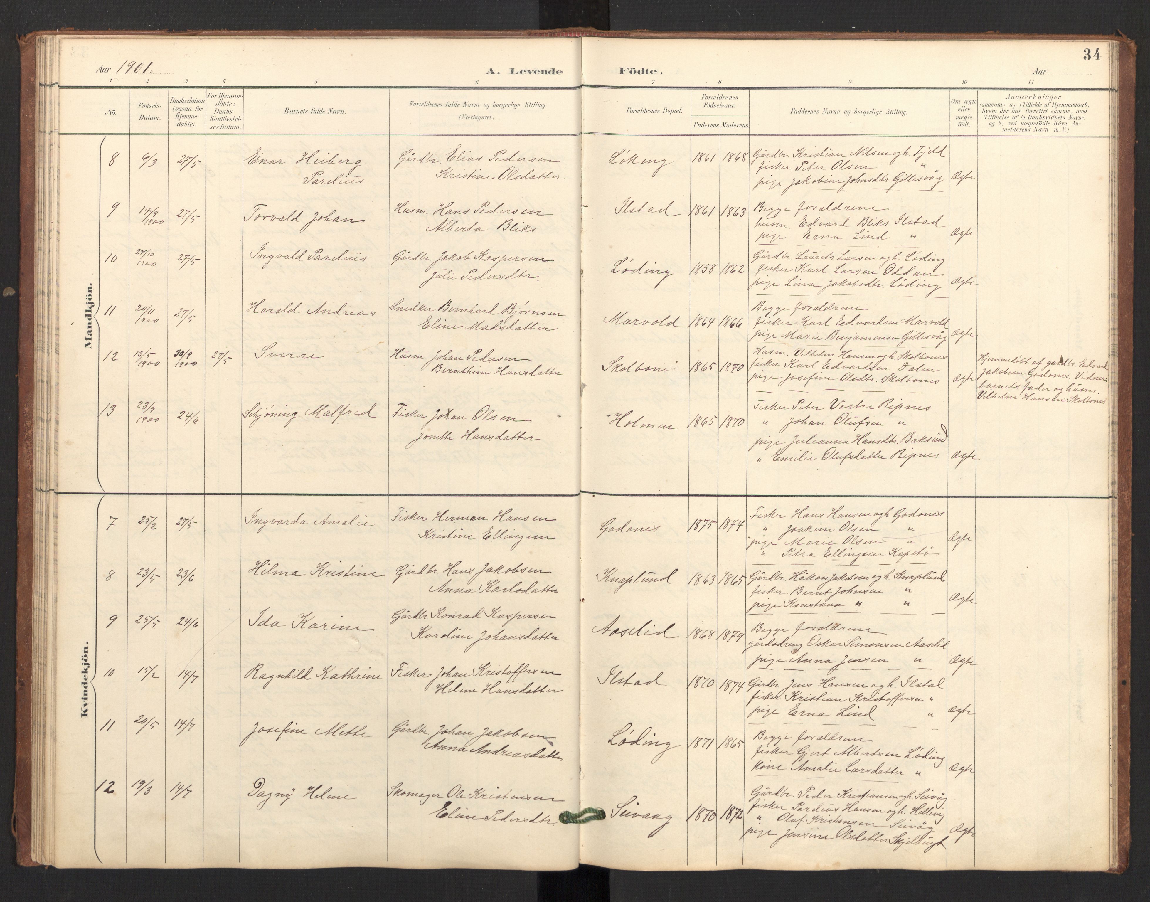 Ministerialprotokoller, klokkerbøker og fødselsregistre - Nordland, AV/SAT-A-1459/804/L0087: Parish register (official) no. 804A08, 1894-1907, p. 34