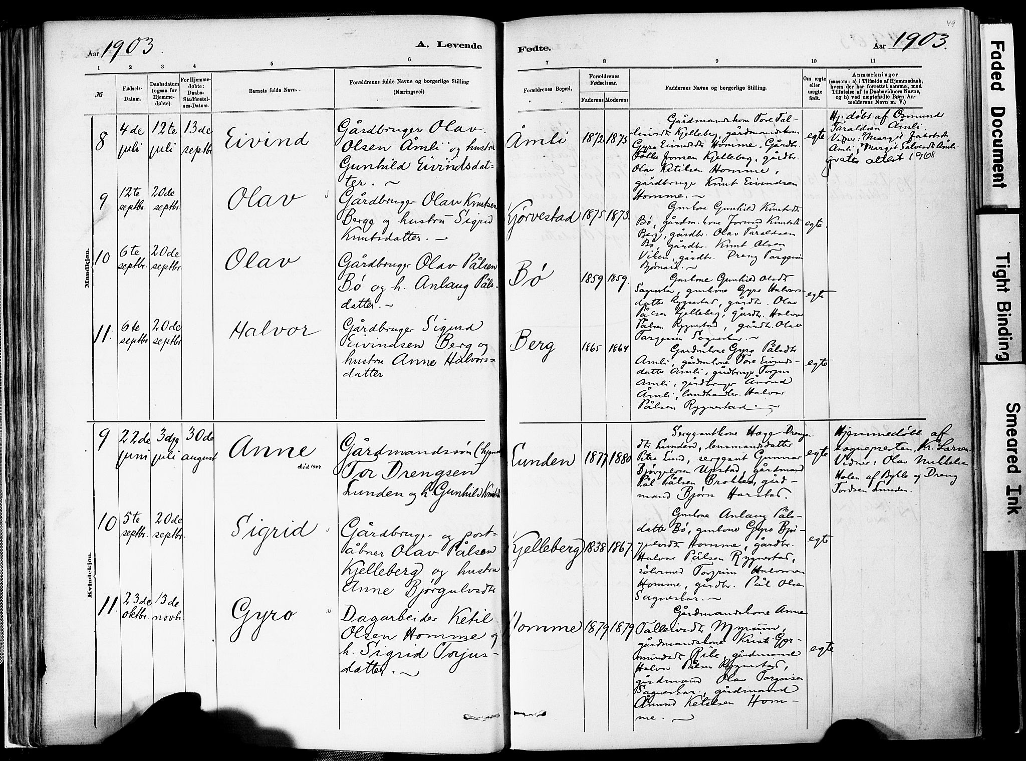 Valle sokneprestkontor, AV/SAK-1111-0044/F/Fa/Fac/L0009: Parish register (official) no. A 9, 1882-1913, p. 49