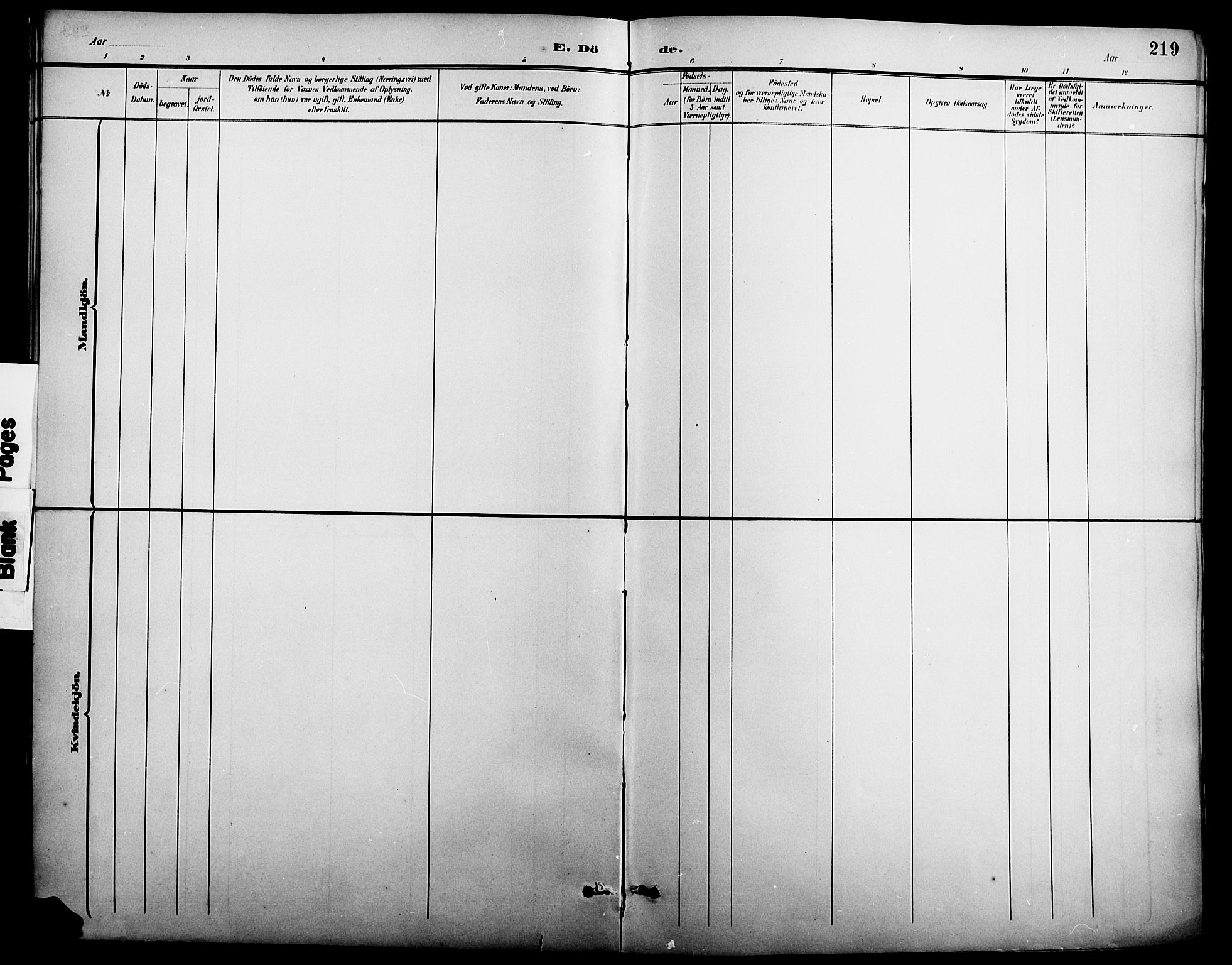 Nord-Odal prestekontor, AV/SAH-PREST-032/H/Ha/Hab/L0002: Parish register (copy) no. 2, 1895-1921, p. 219