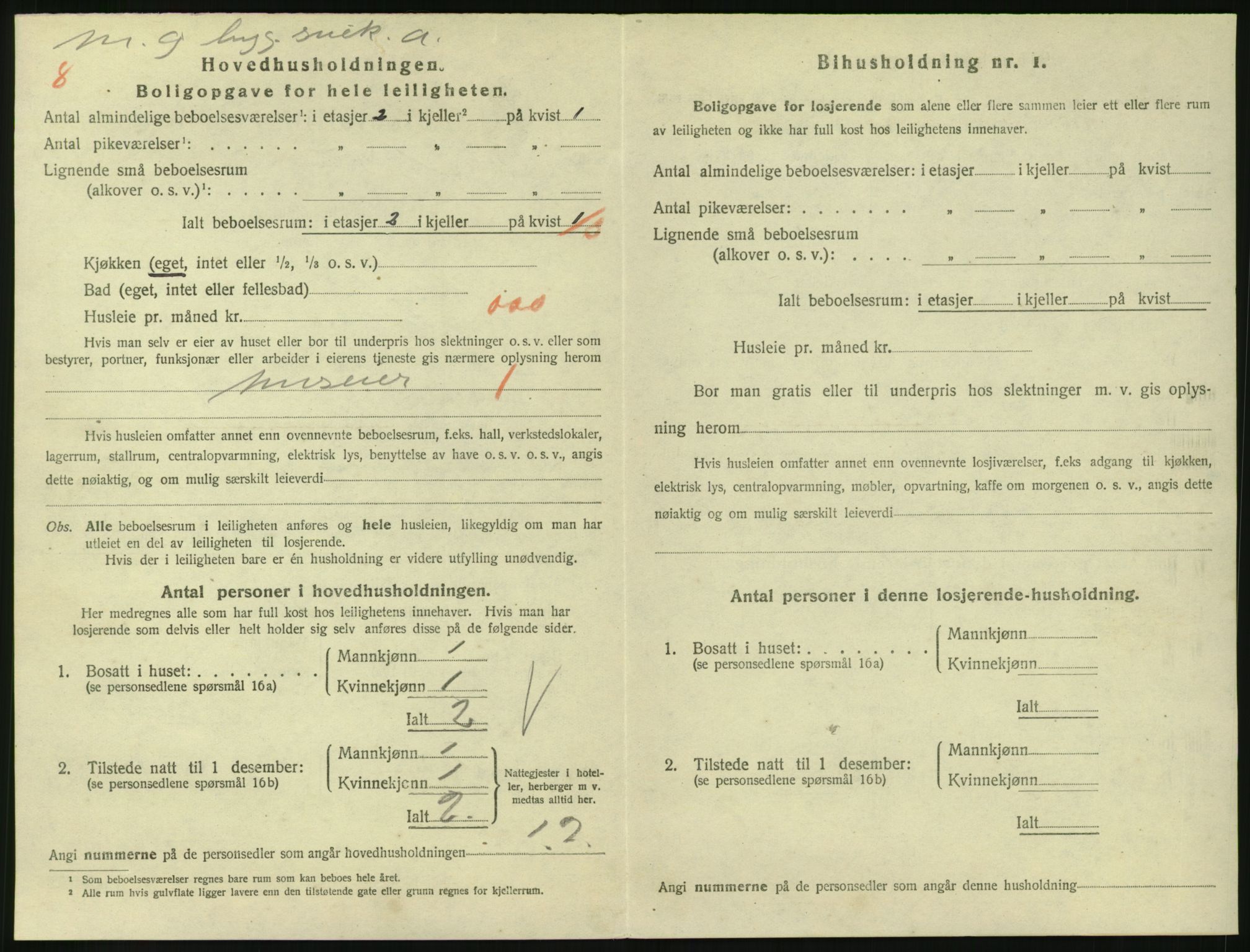 SAKO, 1920 census for Larvik, 1920, p. 3691