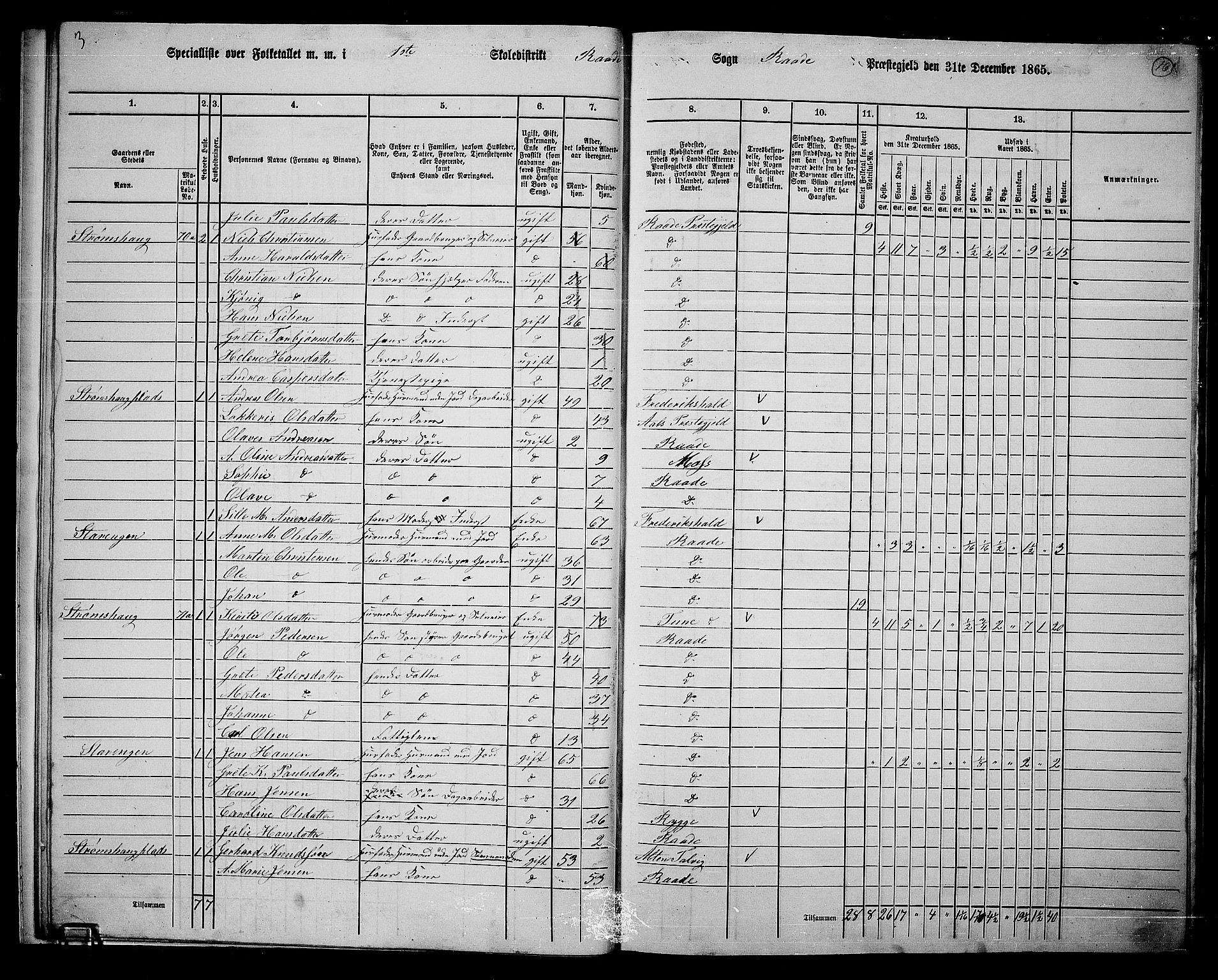 RA, 1865 census for Råde, 1865, p. 14