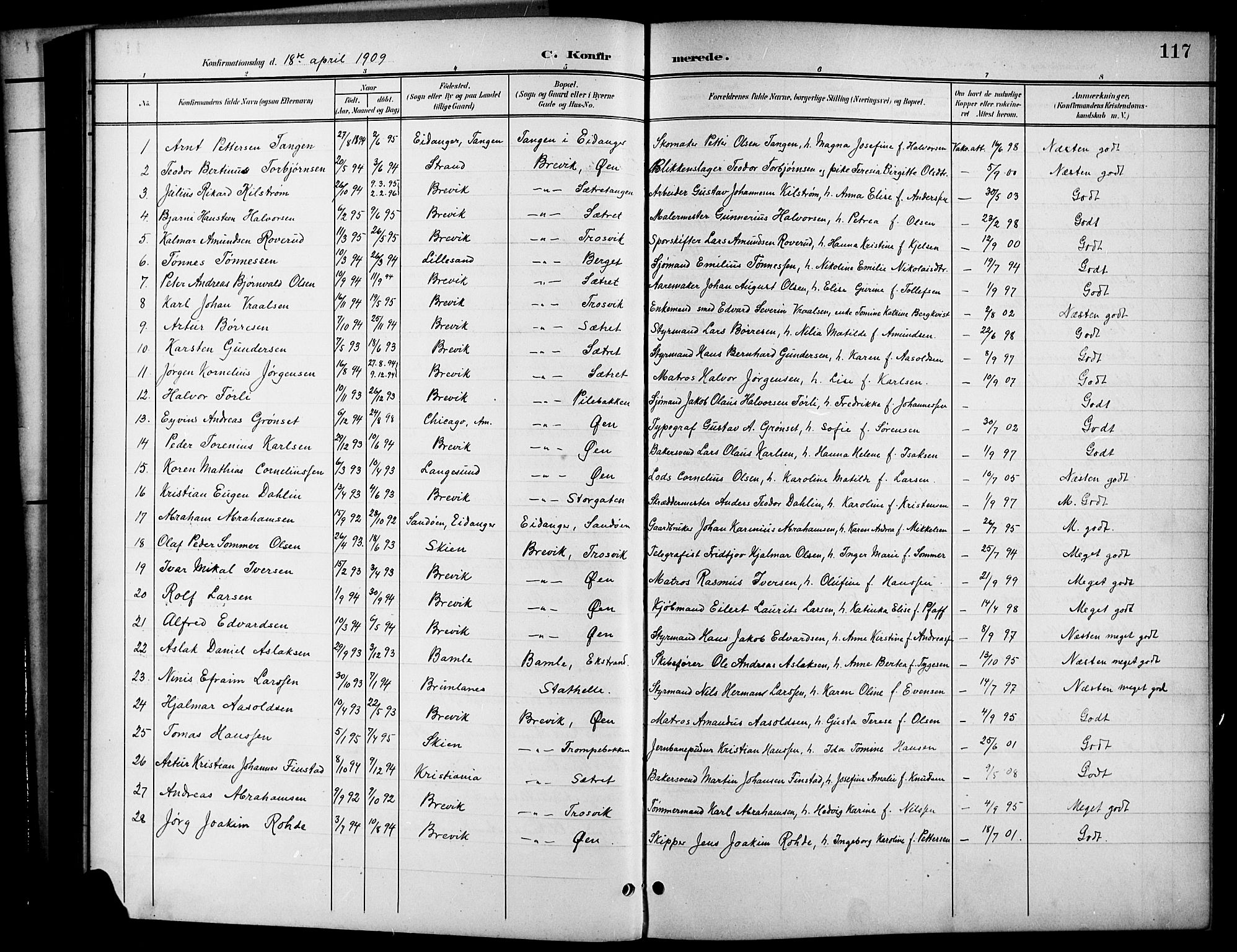 Brevik kirkebøker, SAKO/A-255/G/Ga/L0005: Parish register (copy) no. 5, 1901-1924, p. 117