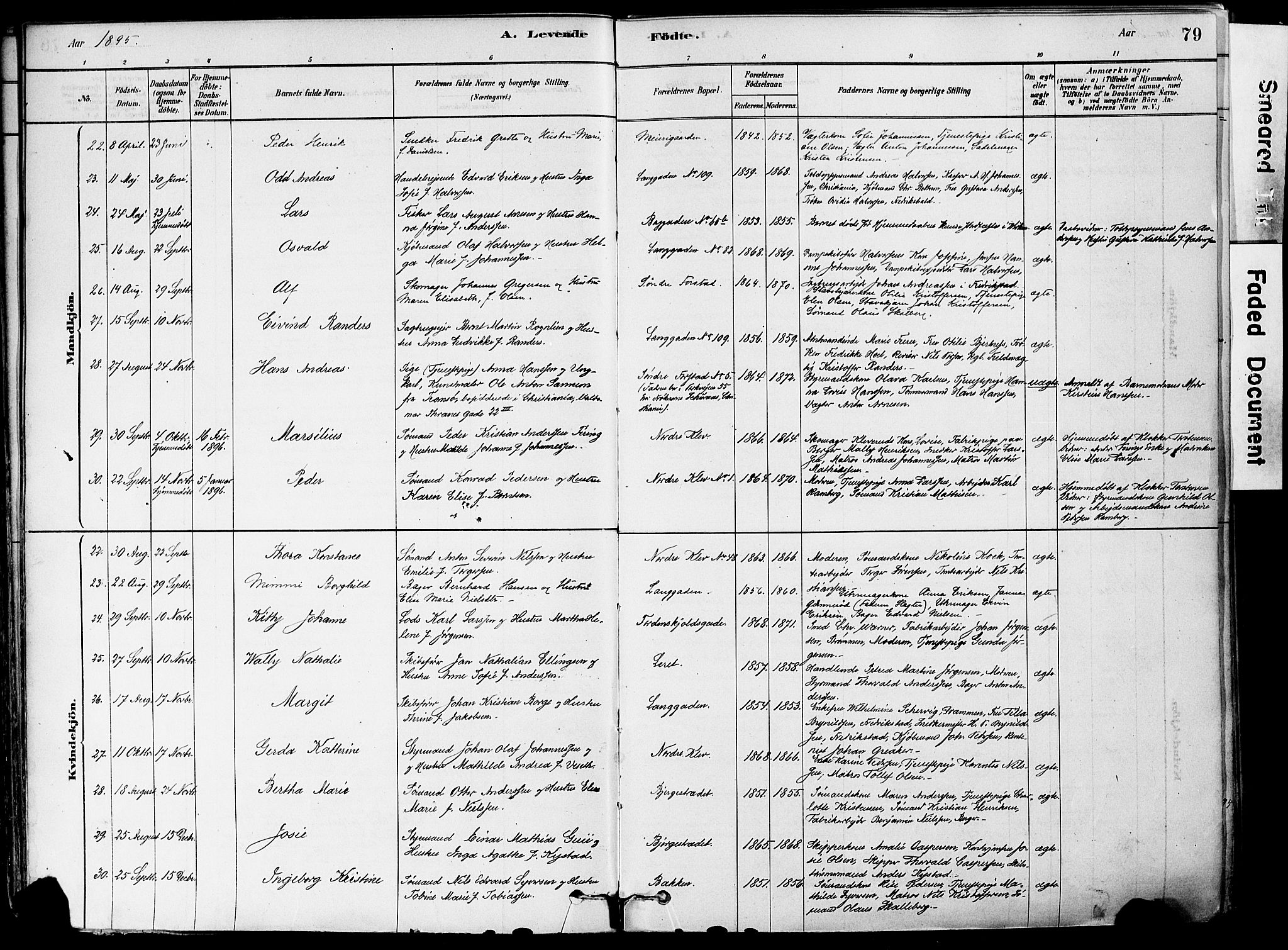 Holmestrand kirkebøker, AV/SAKO-A-346/F/Fa/L0004: Parish register (official) no. 4, 1880-1901, p. 79