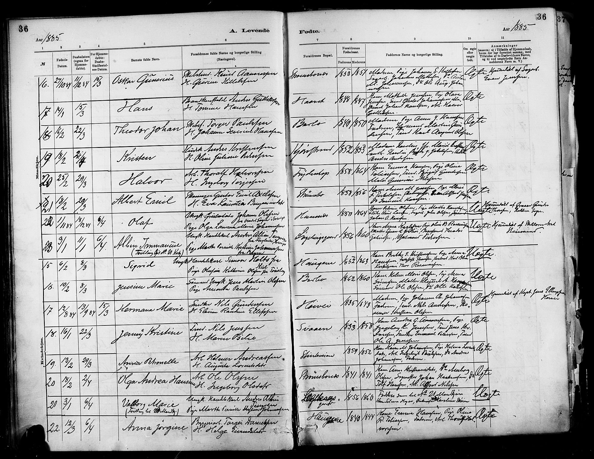 Barbu sokneprestkontor, SAK/1111-0003/F/Fa/L0002: Parish register (official) no. A 2, 1883-1898, p. 36