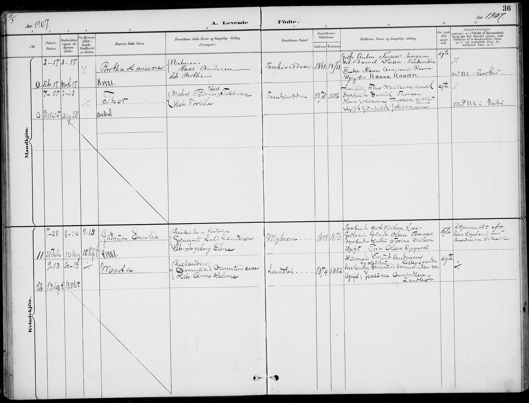 Austre Moland sokneprestkontor, SAK/1111-0001/F/Fa/Faa/L0011: Parish register (official) no. A 11, 1894-1915, p. 36