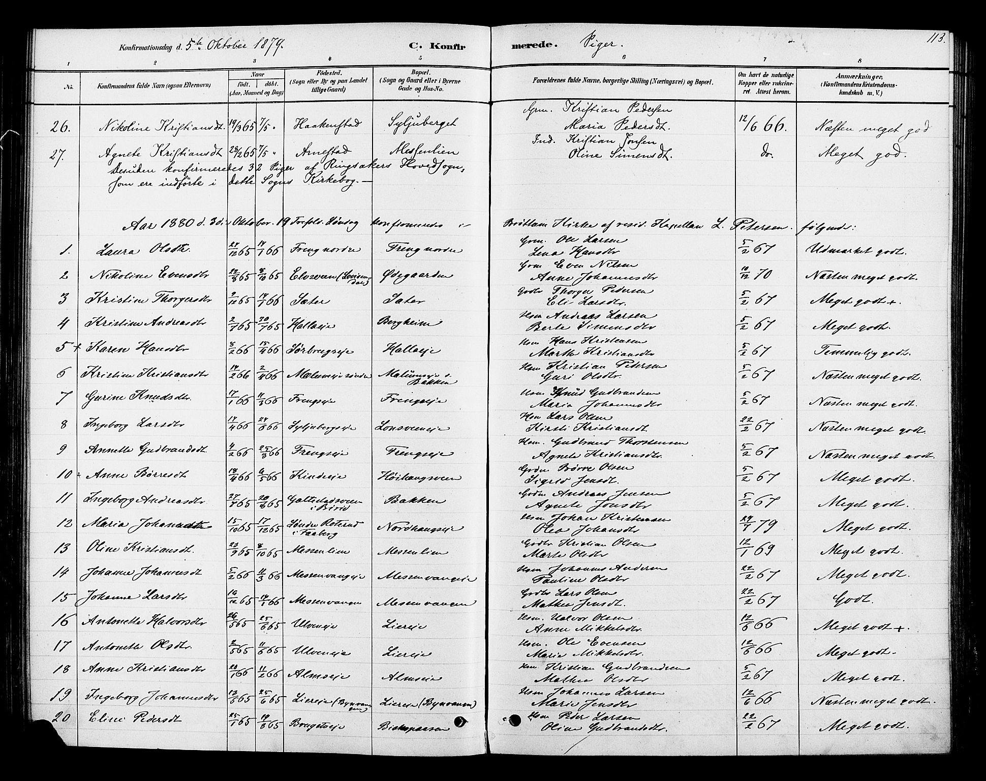 Ringsaker prestekontor, AV/SAH-PREST-014/K/Ka/L0013: Parish register (official) no. 13, 1879-1890, p. 113