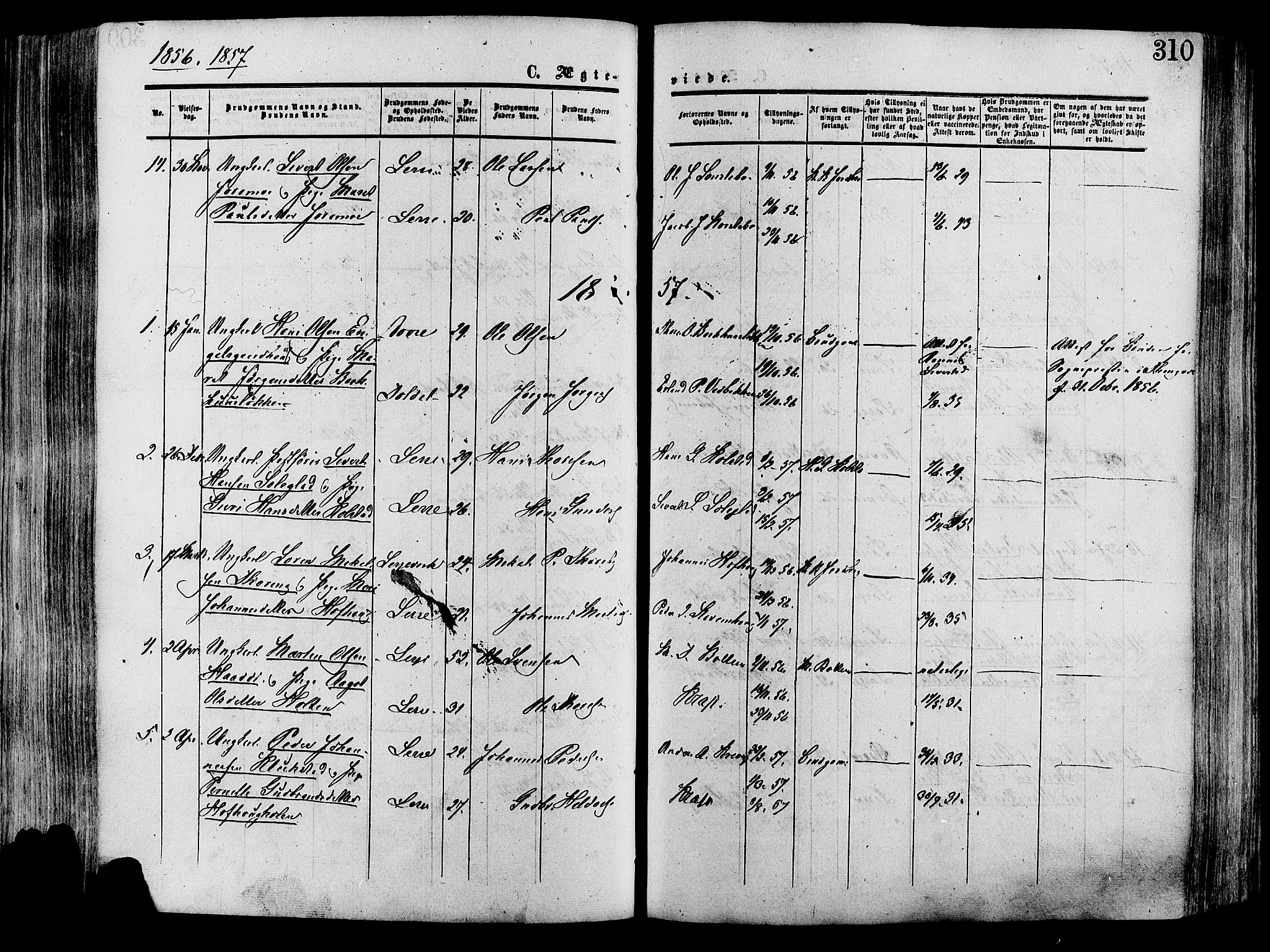 Lesja prestekontor, SAH/PREST-068/H/Ha/Haa/L0008: Parish register (official) no. 8, 1854-1880, p. 310