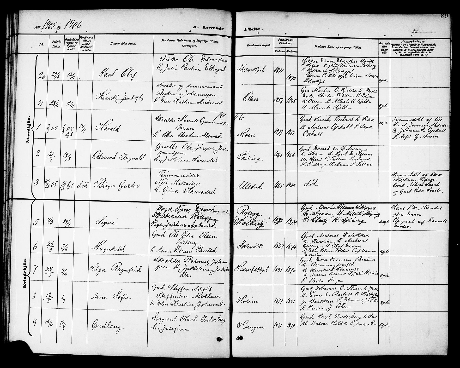 Ministerialprotokoller, klokkerbøker og fødselsregistre - Nord-Trøndelag, SAT/A-1458/741/L0401: Parish register (copy) no. 741C02, 1899-1911, p. 39
