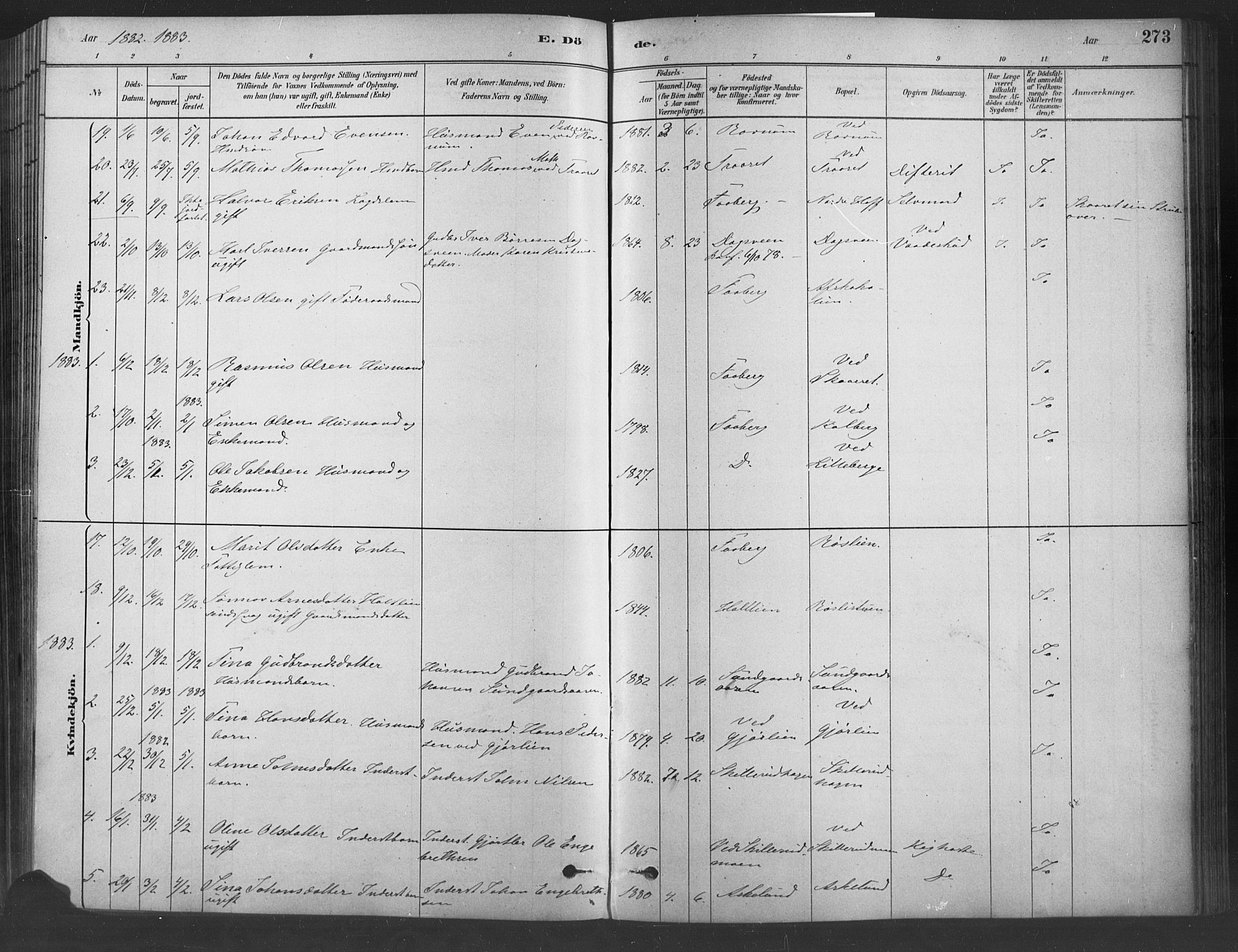 Fåberg prestekontor, SAH/PREST-086/H/Ha/Haa/L0009: Parish register (official) no. 9, 1879-1898, p. 273