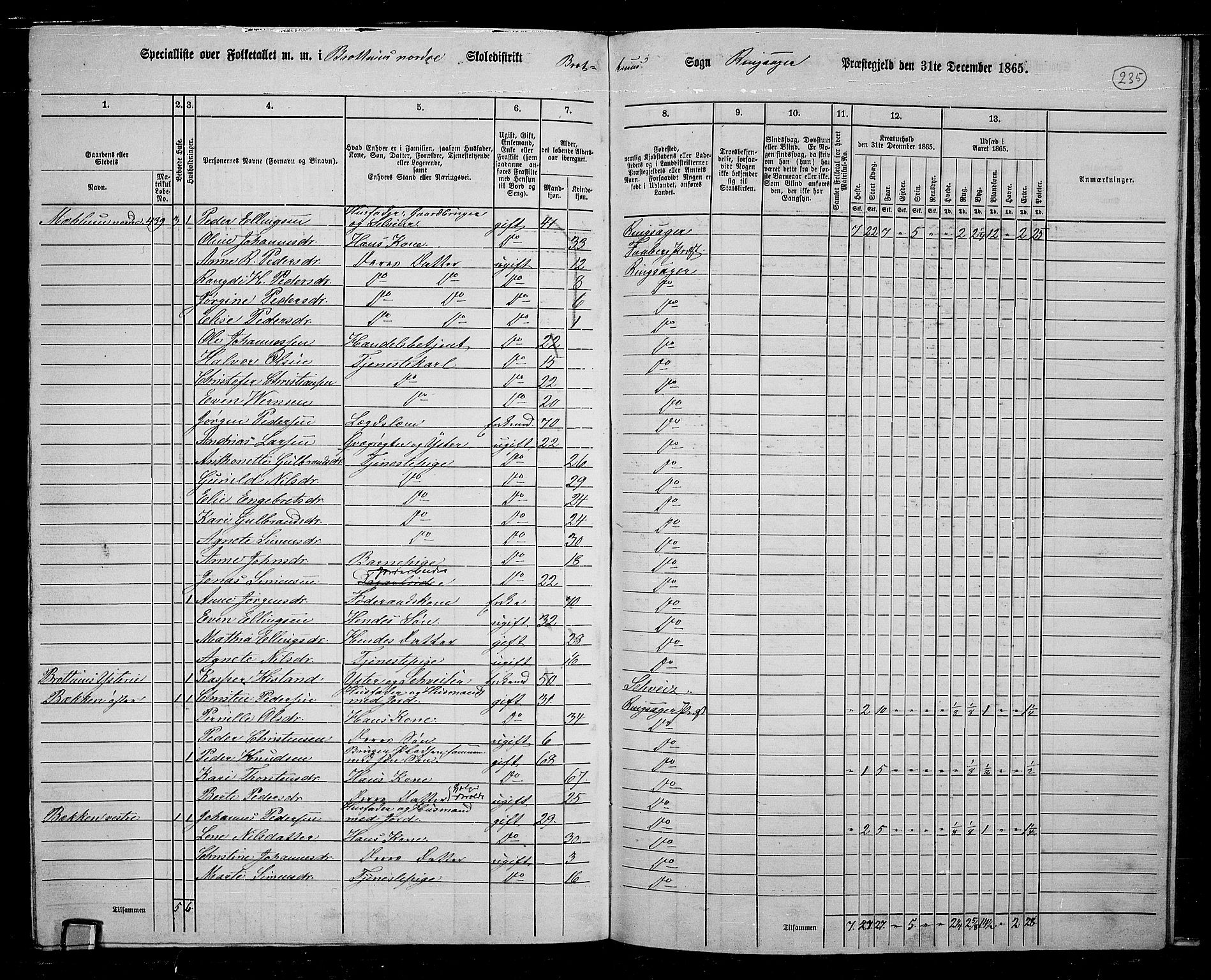 RA, 1865 census for Ringsaker, 1865, p. 469