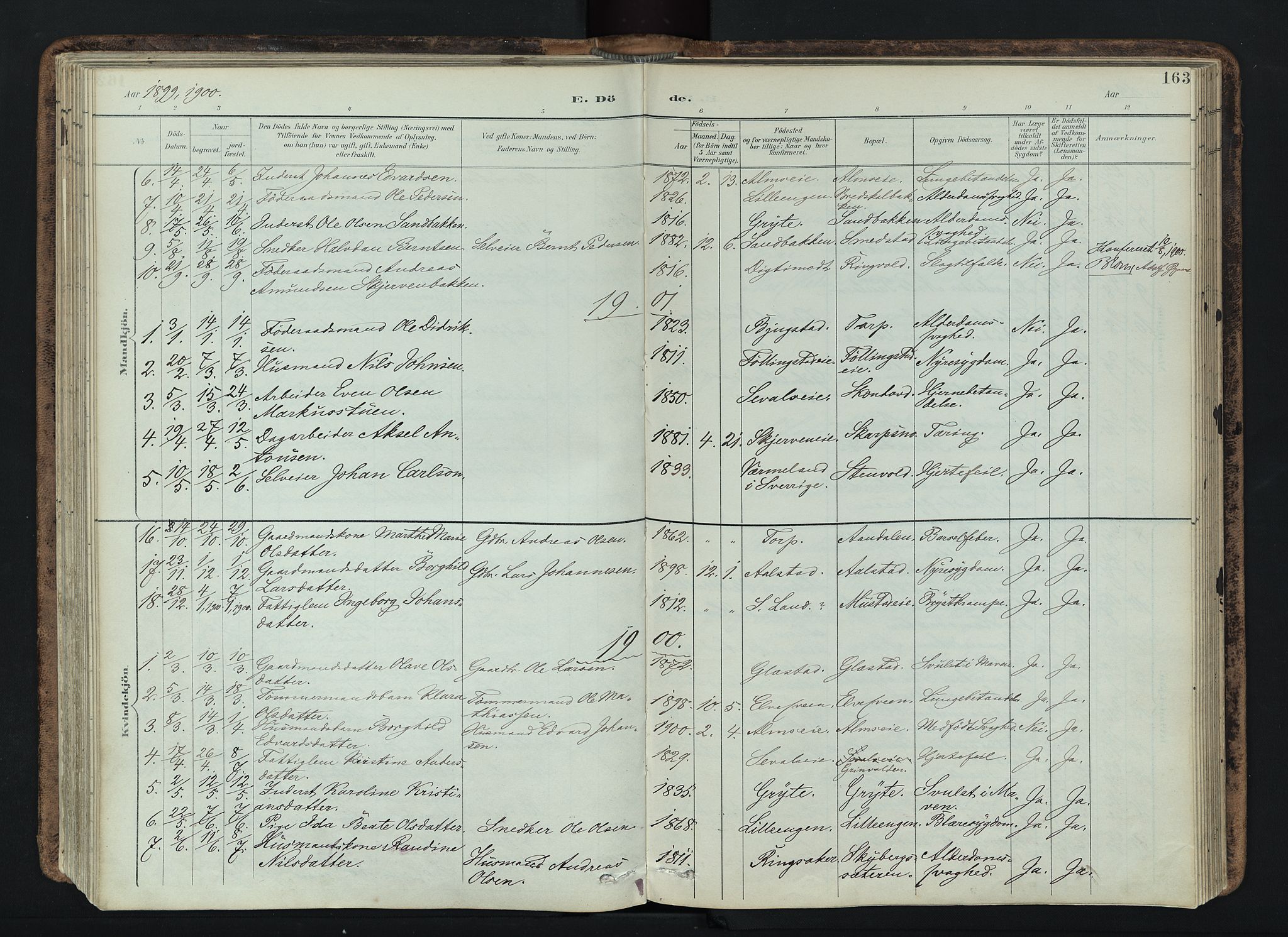 Vardal prestekontor, SAH/PREST-100/H/Ha/Haa/L0019: Parish register (official) no. 19, 1893-1907, p. 163