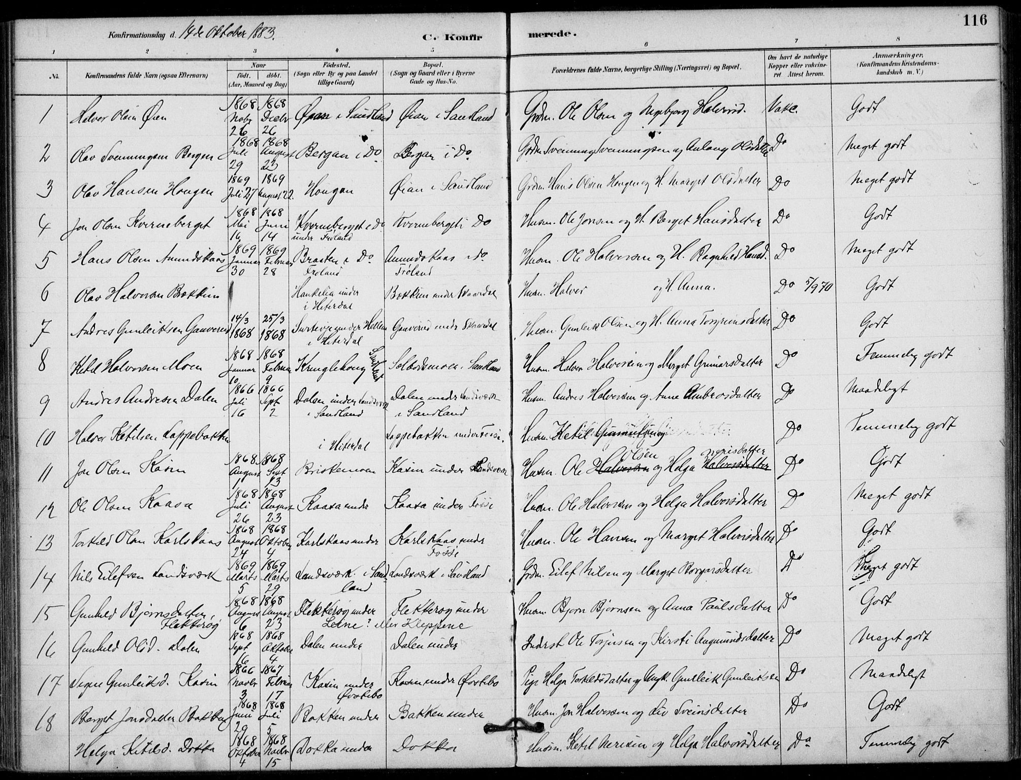 Hjartdal kirkebøker, AV/SAKO-A-270/F/Fb/L0002: Parish register (official) no. II 2, 1880-1932, p. 116