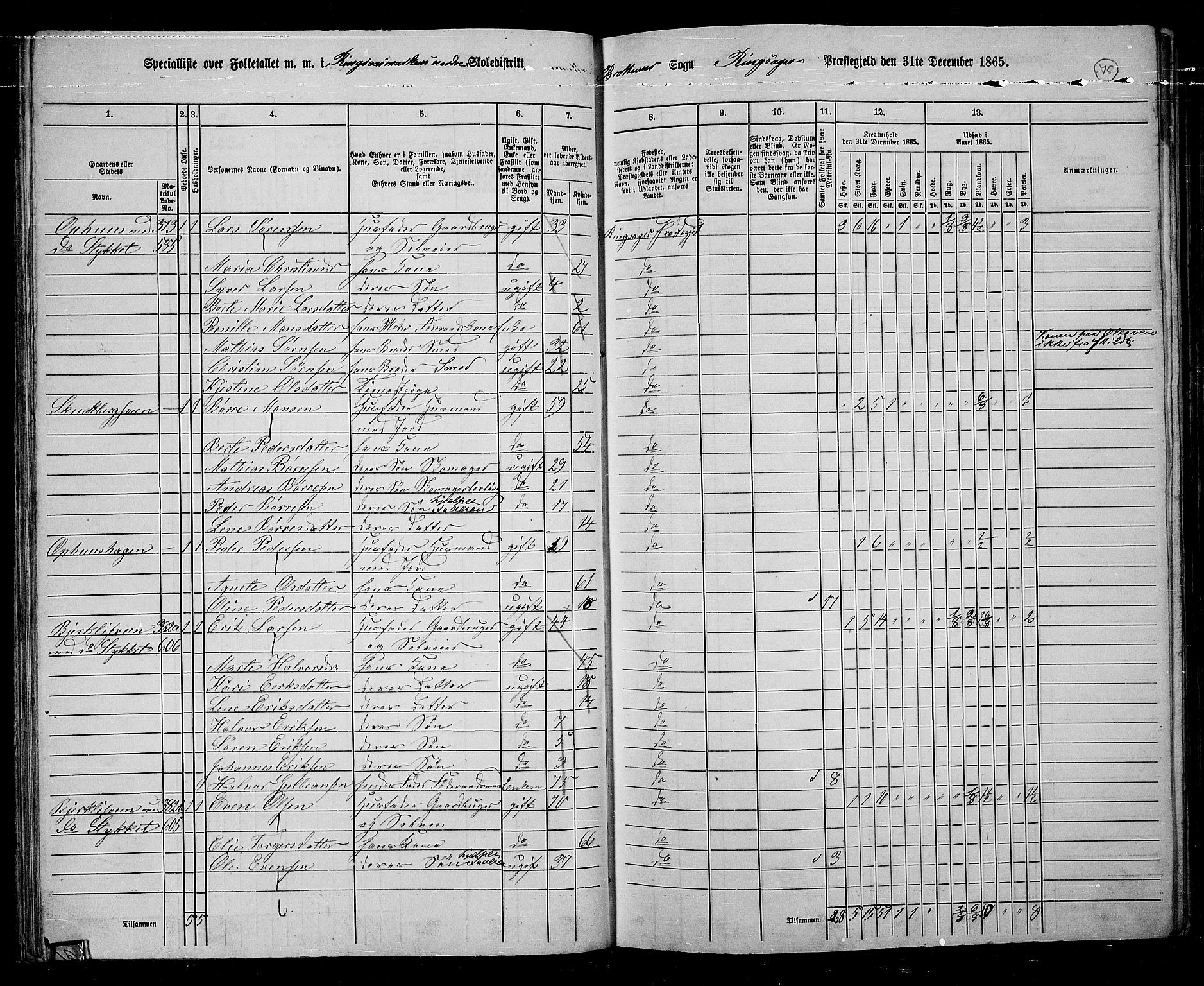 RA, 1865 census for Ringsaker, 1865, p. 327