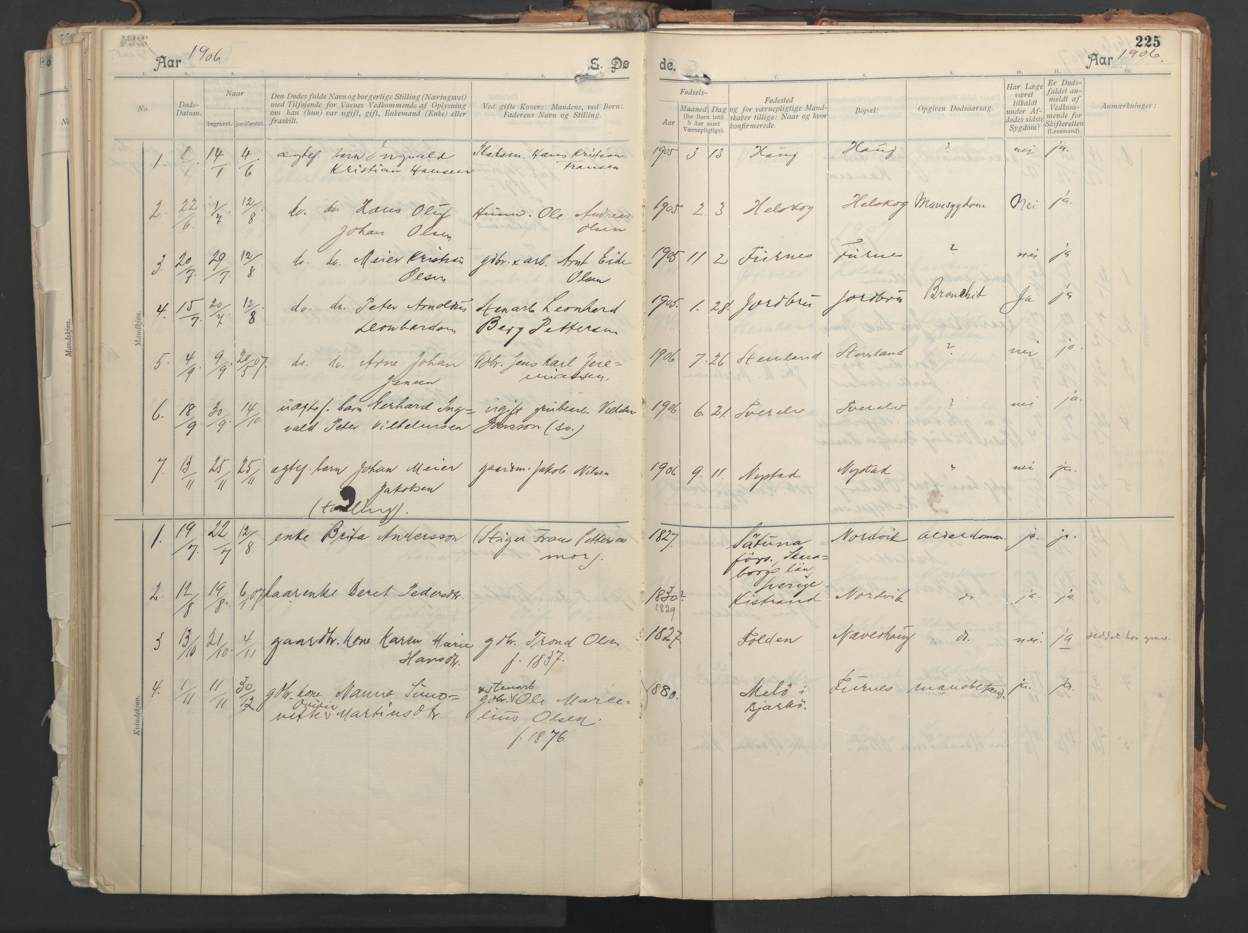 Ministerialprotokoller, klokkerbøker og fødselsregistre - Nordland, AV/SAT-A-1459/851/L0724: Parish register (official) no. 851A01, 1901-1922, p. 225