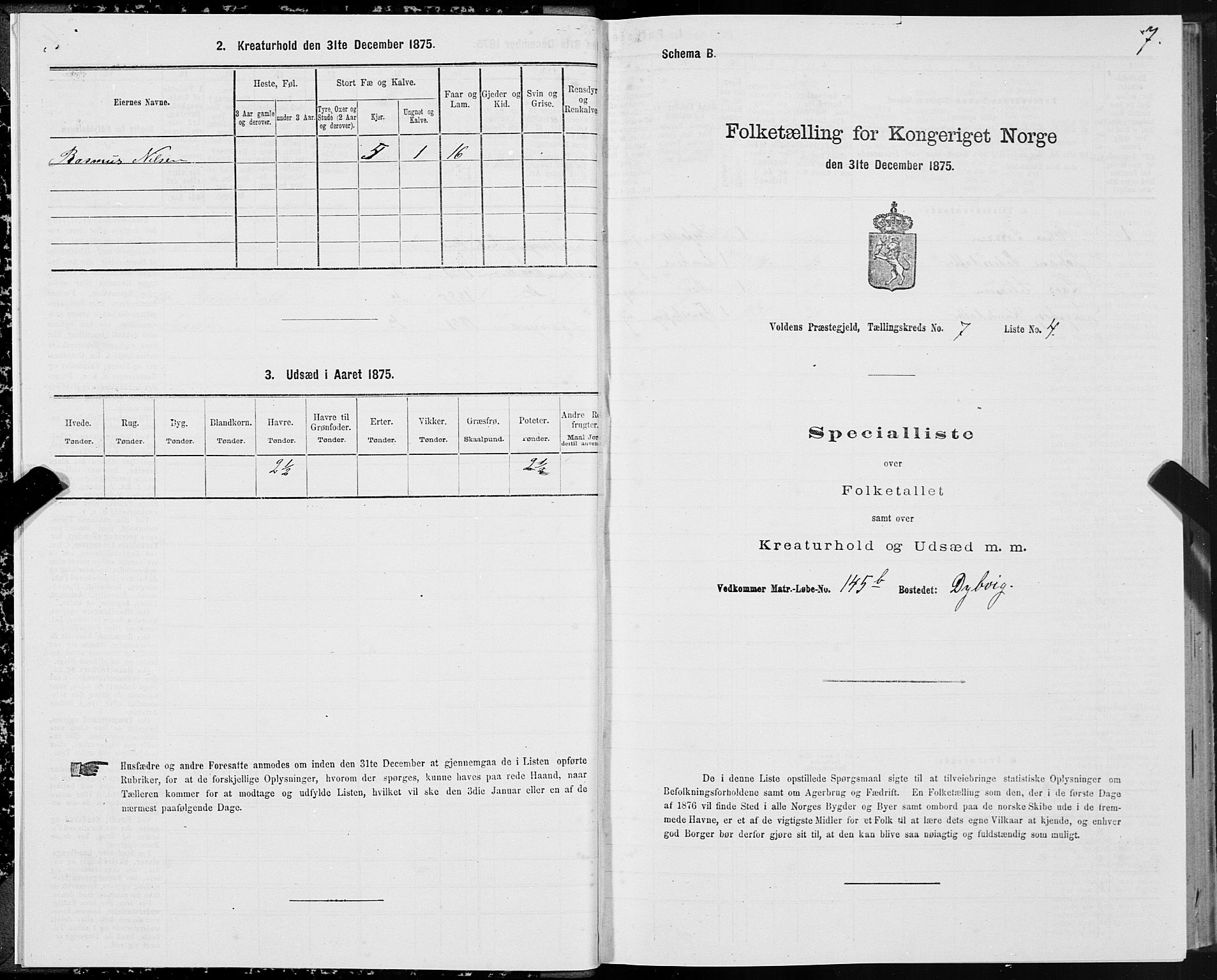 SAT, 1875 census for 1519P Volda, 1875, p. 5007