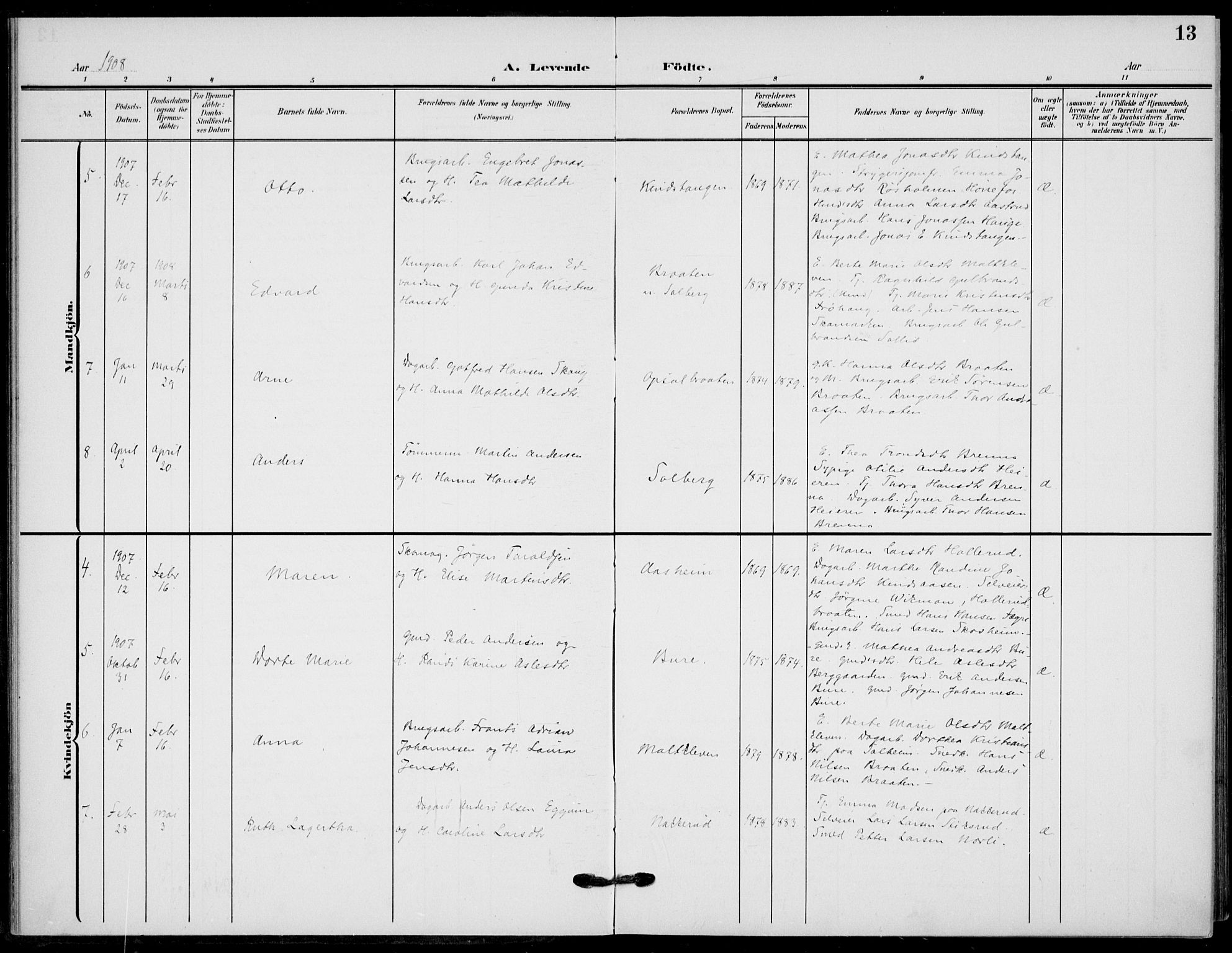 Hole kirkebøker, AV/SAKO-A-228/F/Fb/L0003: Parish register (official) no. II 3, 1906-1916, p. 13