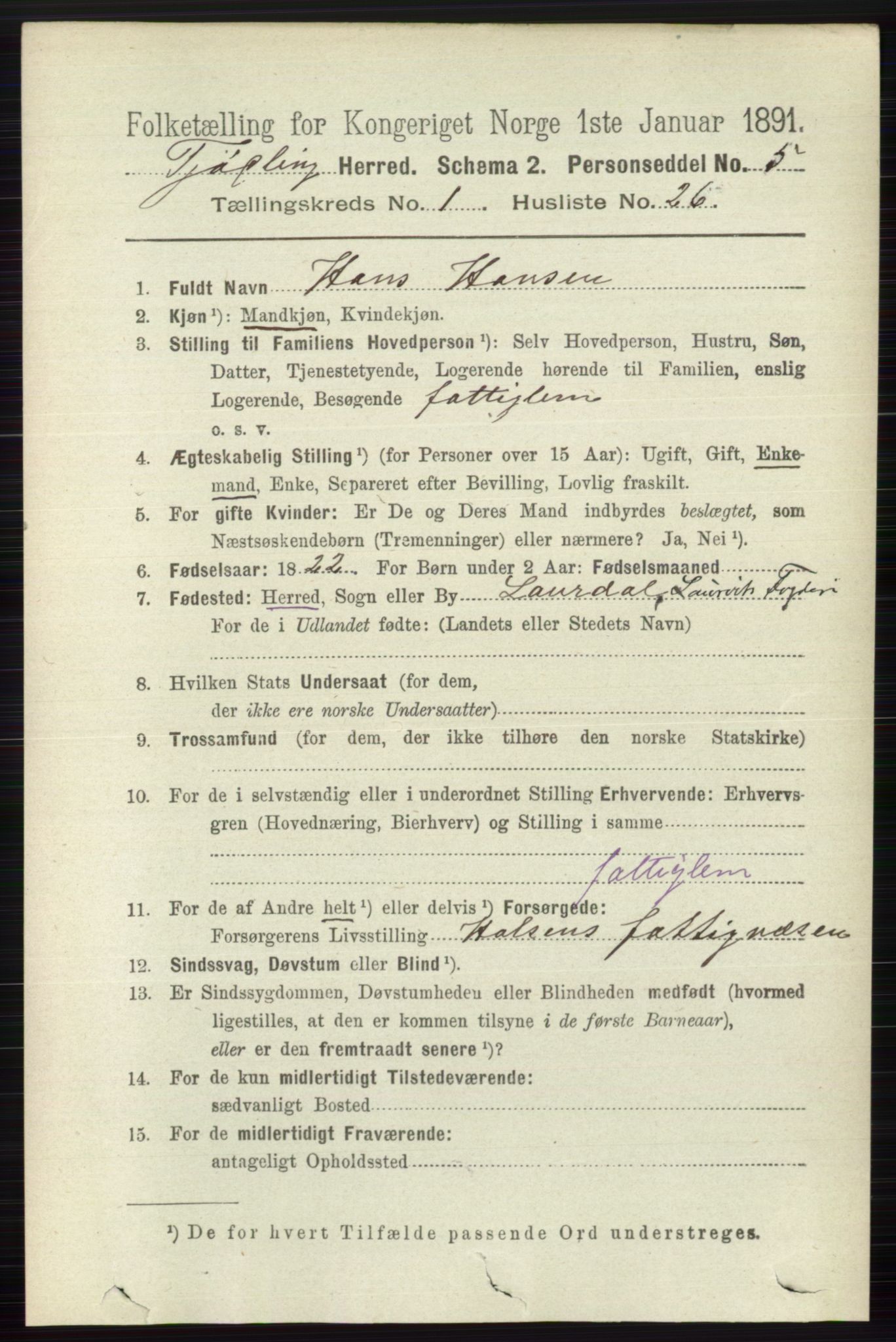 RA, 1891 census for 0725 Tjølling, 1891, p. 251