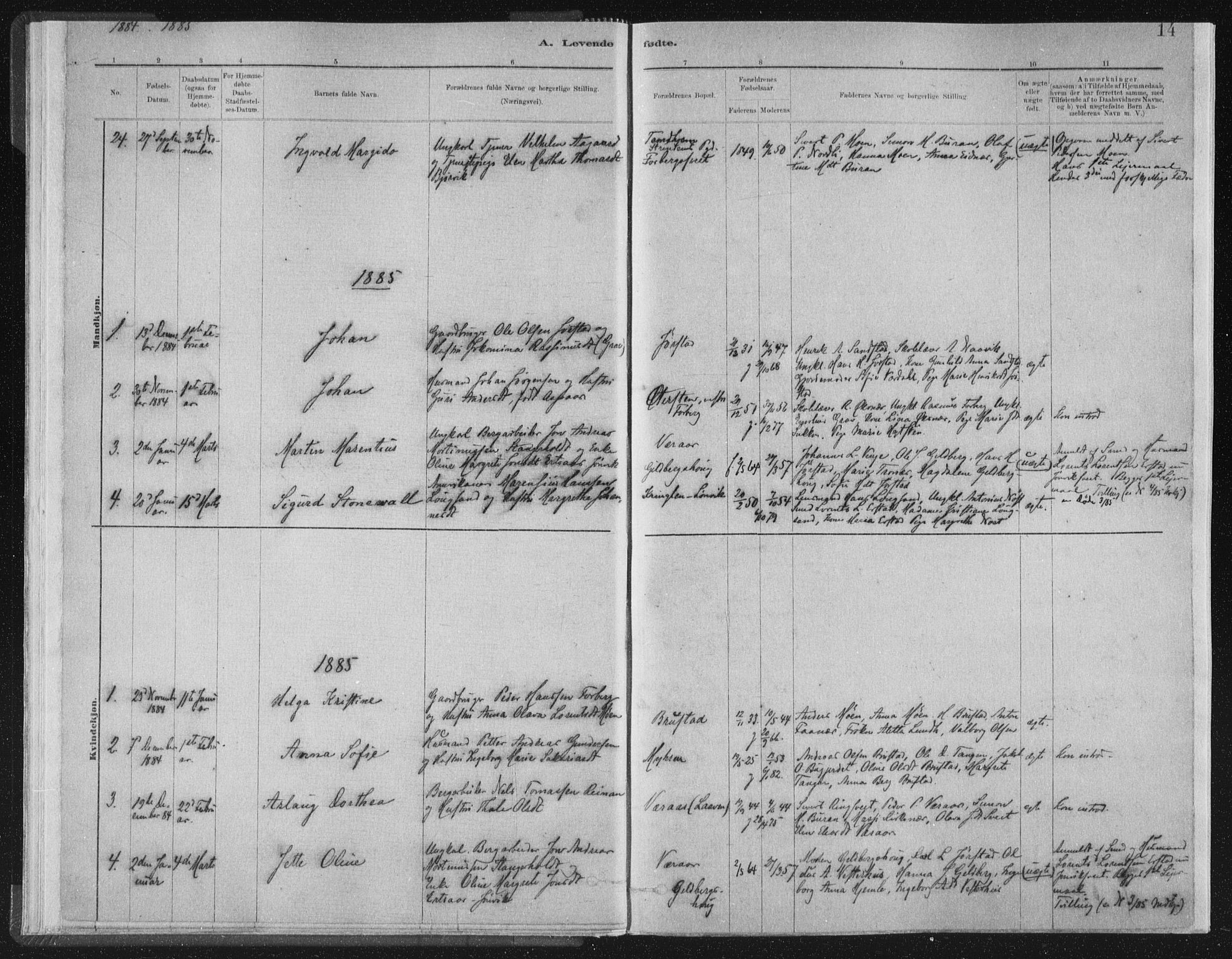 Ministerialprotokoller, klokkerbøker og fødselsregistre - Nord-Trøndelag, SAT/A-1458/722/L0220: Parish register (official) no. 722A07, 1881-1908, p. 14
