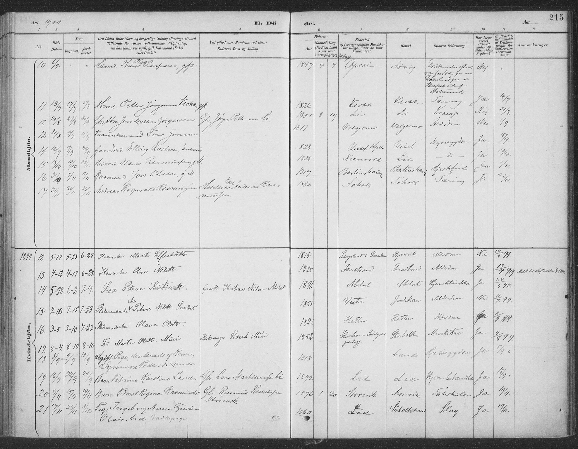 Ministerialprotokoller, klokkerbøker og fødselsregistre - Møre og Romsdal, AV/SAT-A-1454/522/L0316: Parish register (official) no. 522A11, 1890-1911, p. 215