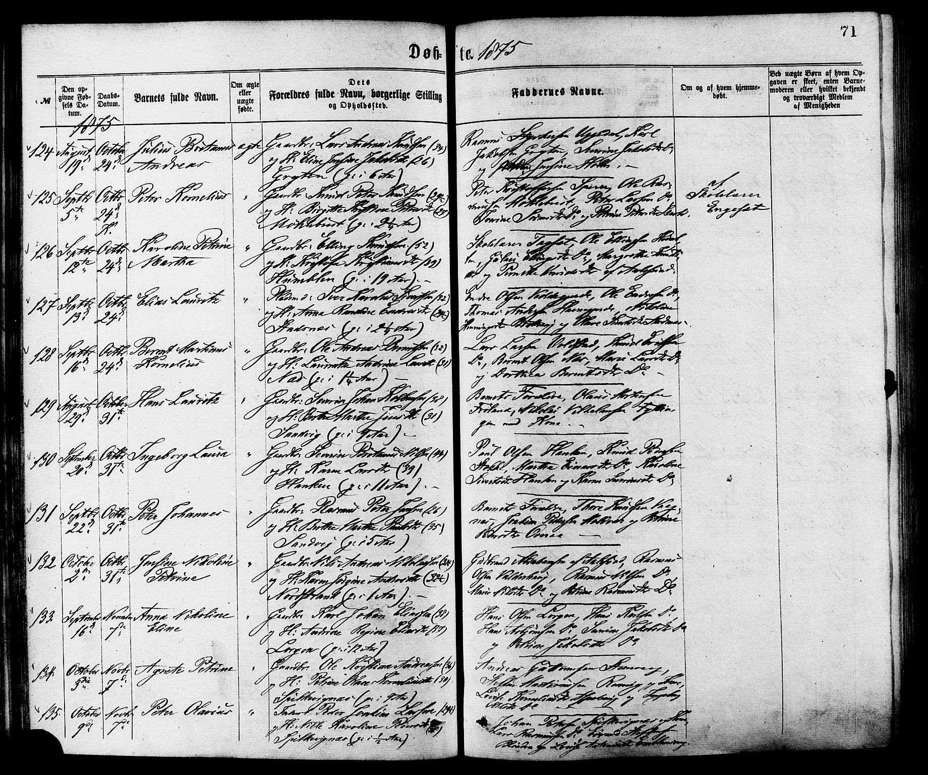 Ministerialprotokoller, klokkerbøker og fødselsregistre - Møre og Romsdal, AV/SAT-A-1454/528/L0400: Parish register (official) no. 528A11, 1871-1879, p. 71