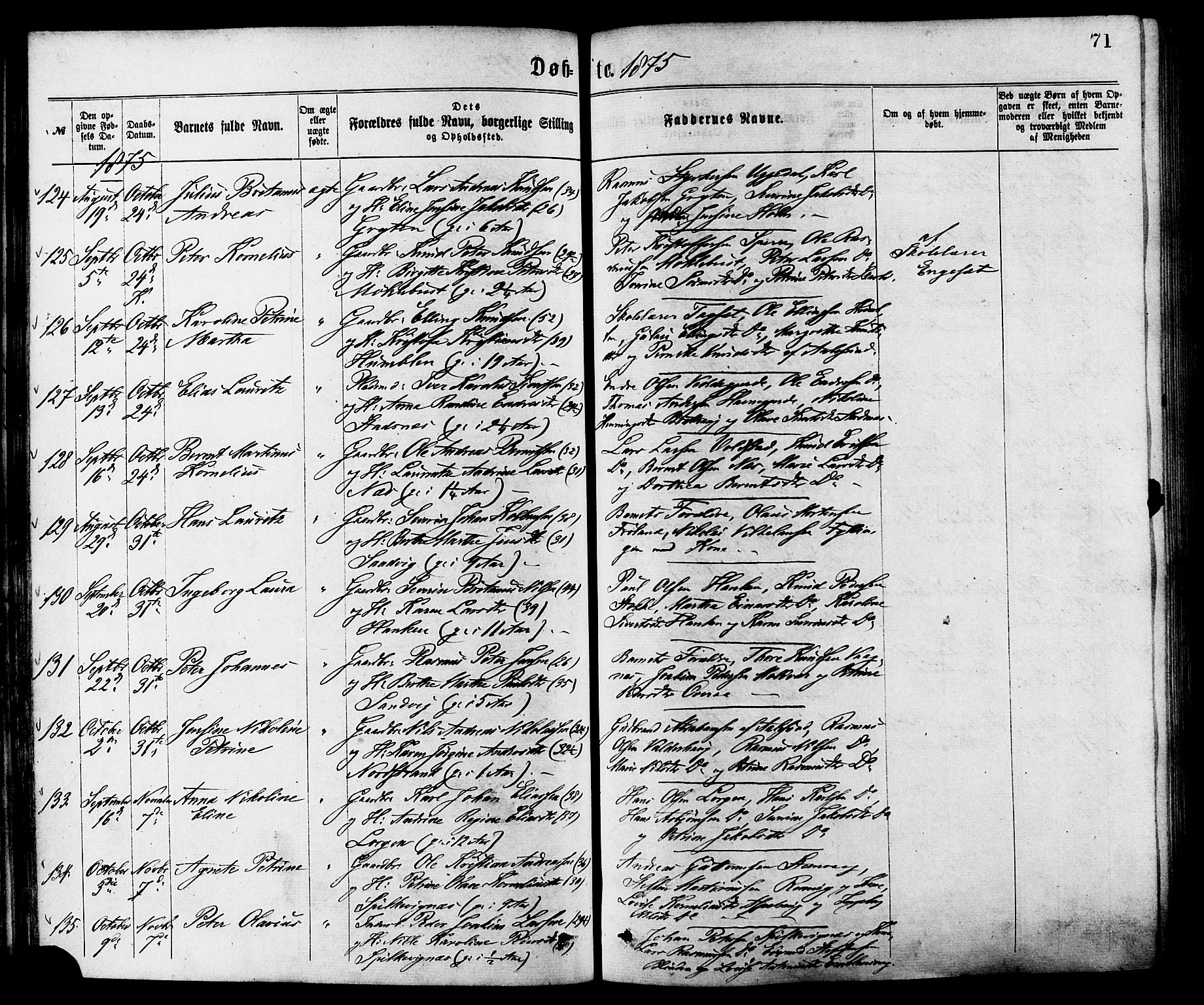 Ministerialprotokoller, klokkerbøker og fødselsregistre - Møre og Romsdal, SAT/A-1454/528/L0400: Parish register (official) no. 528A11, 1871-1879, p. 71