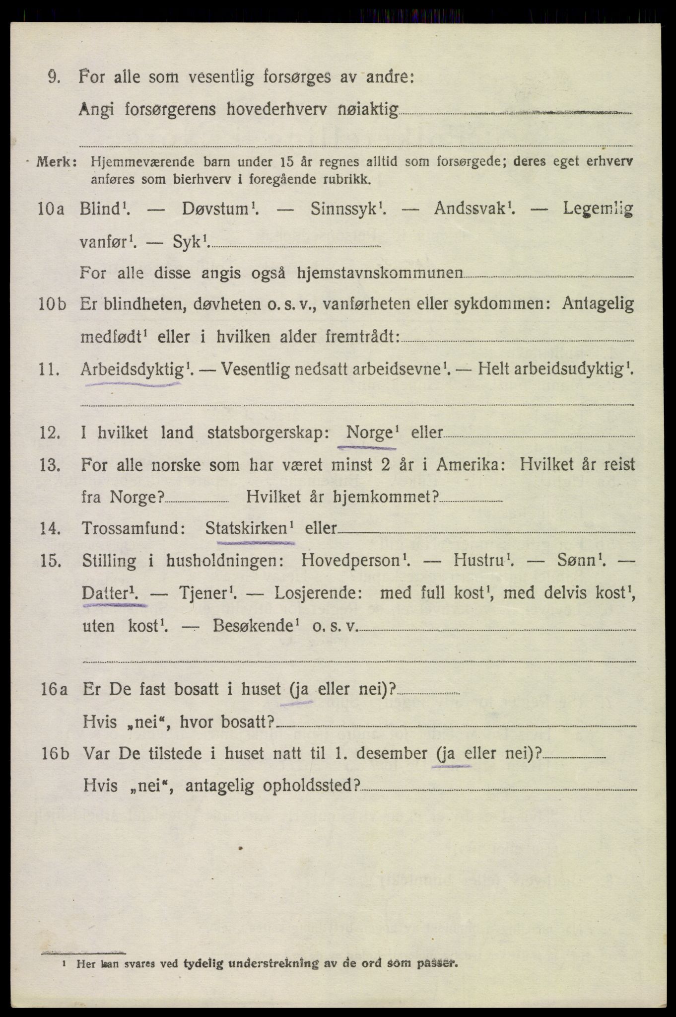 SAH, 1920 census for Åsnes, 1920, p. 13351