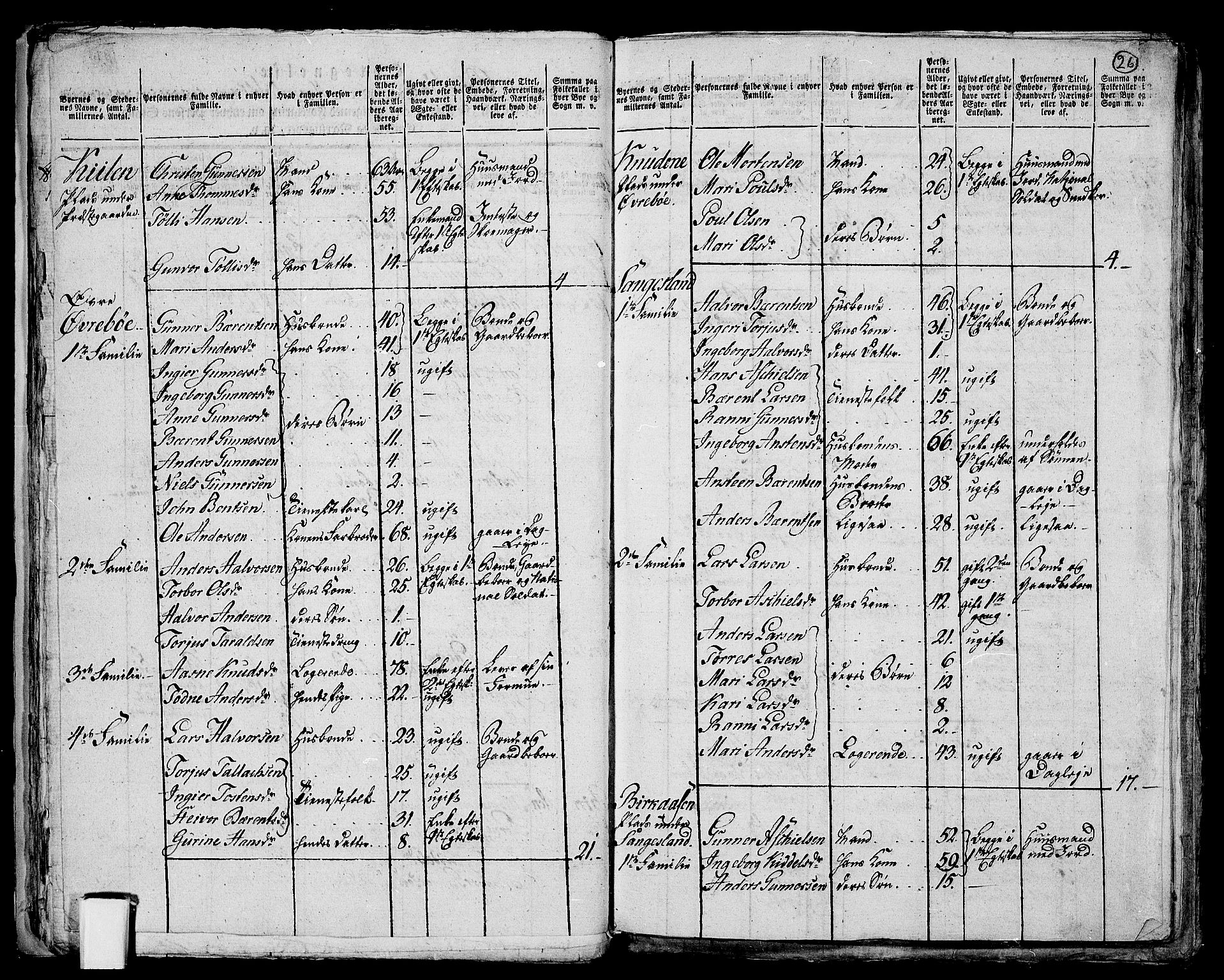 RA, 1801 census for 1012P Oddernes, 1801, p. 25b-26a