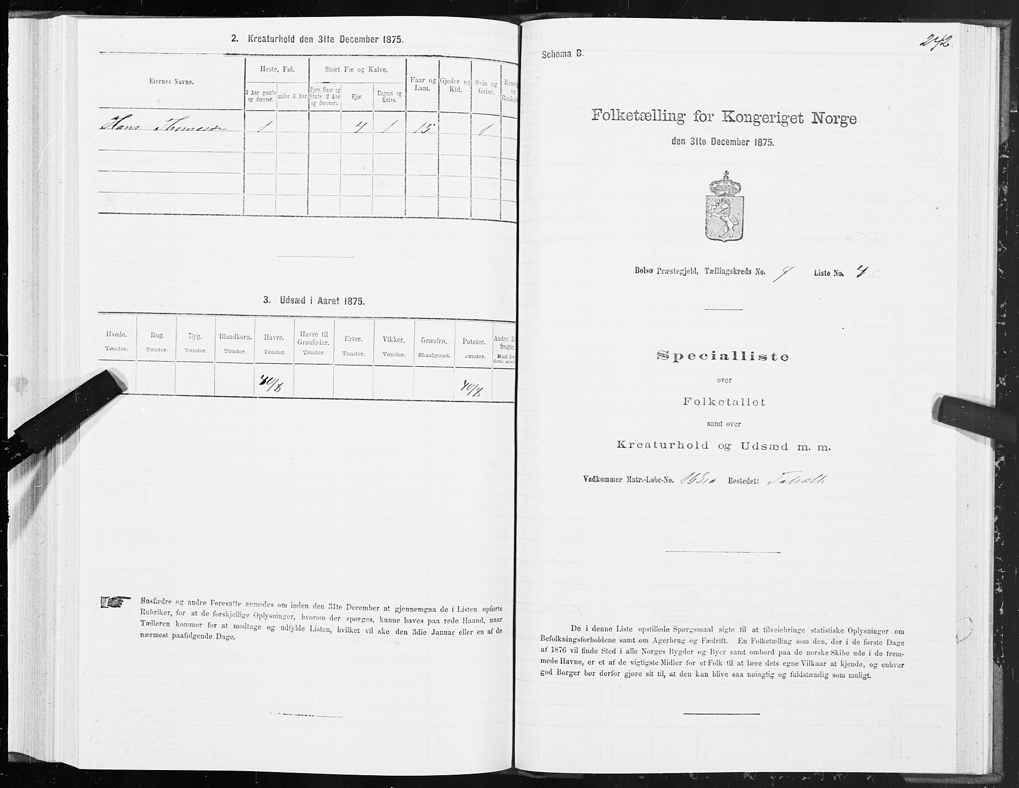 SAT, 1875 census for 1544P Bolsøy, 1875, p. 4242