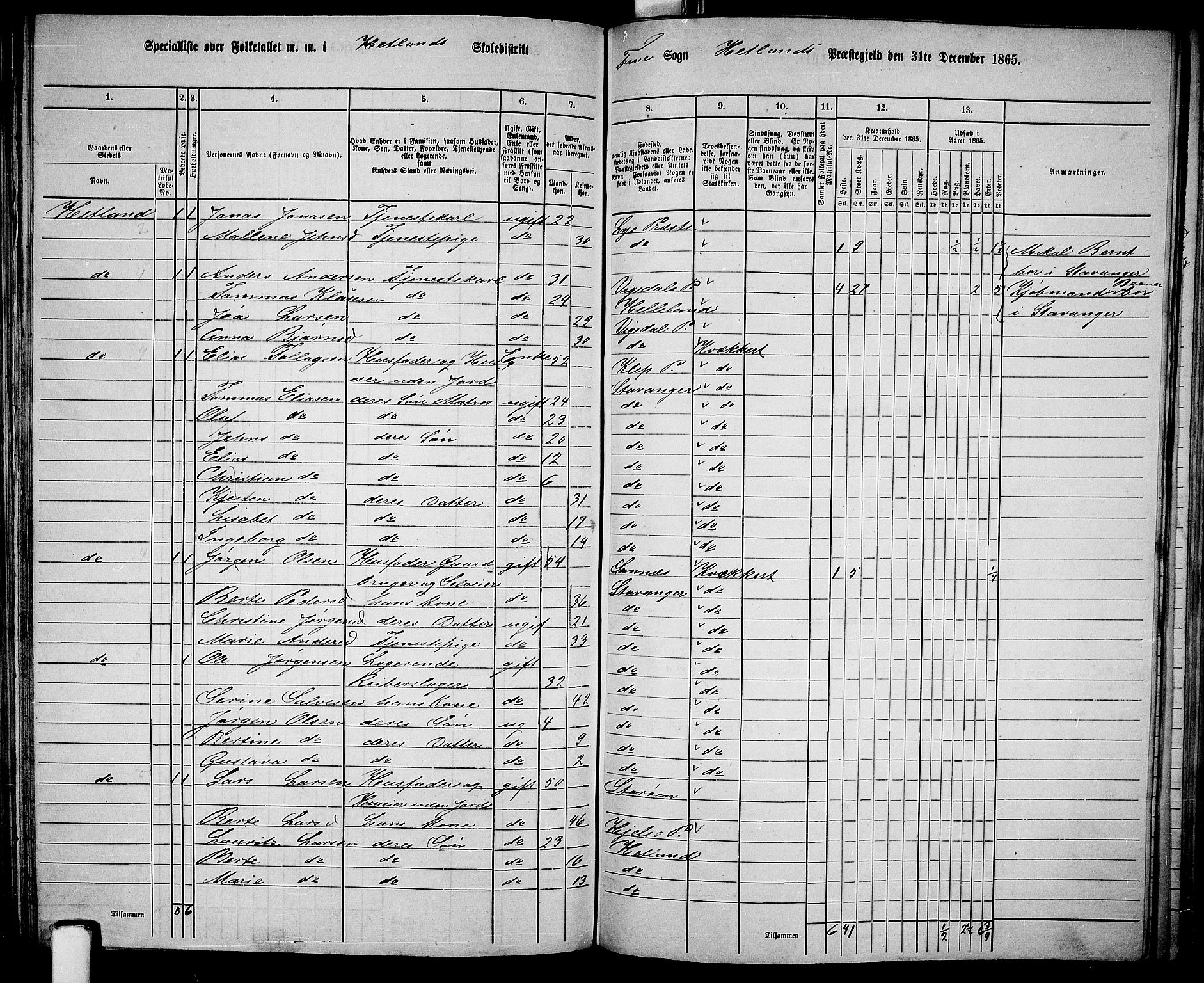 RA, 1865 census for Hetland, 1865, p. 138